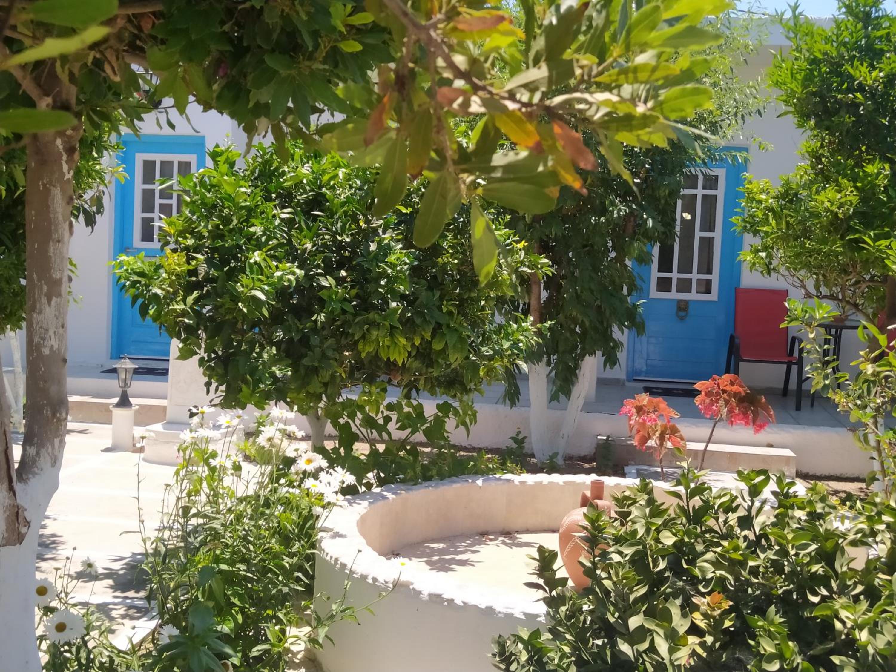 Photo 15