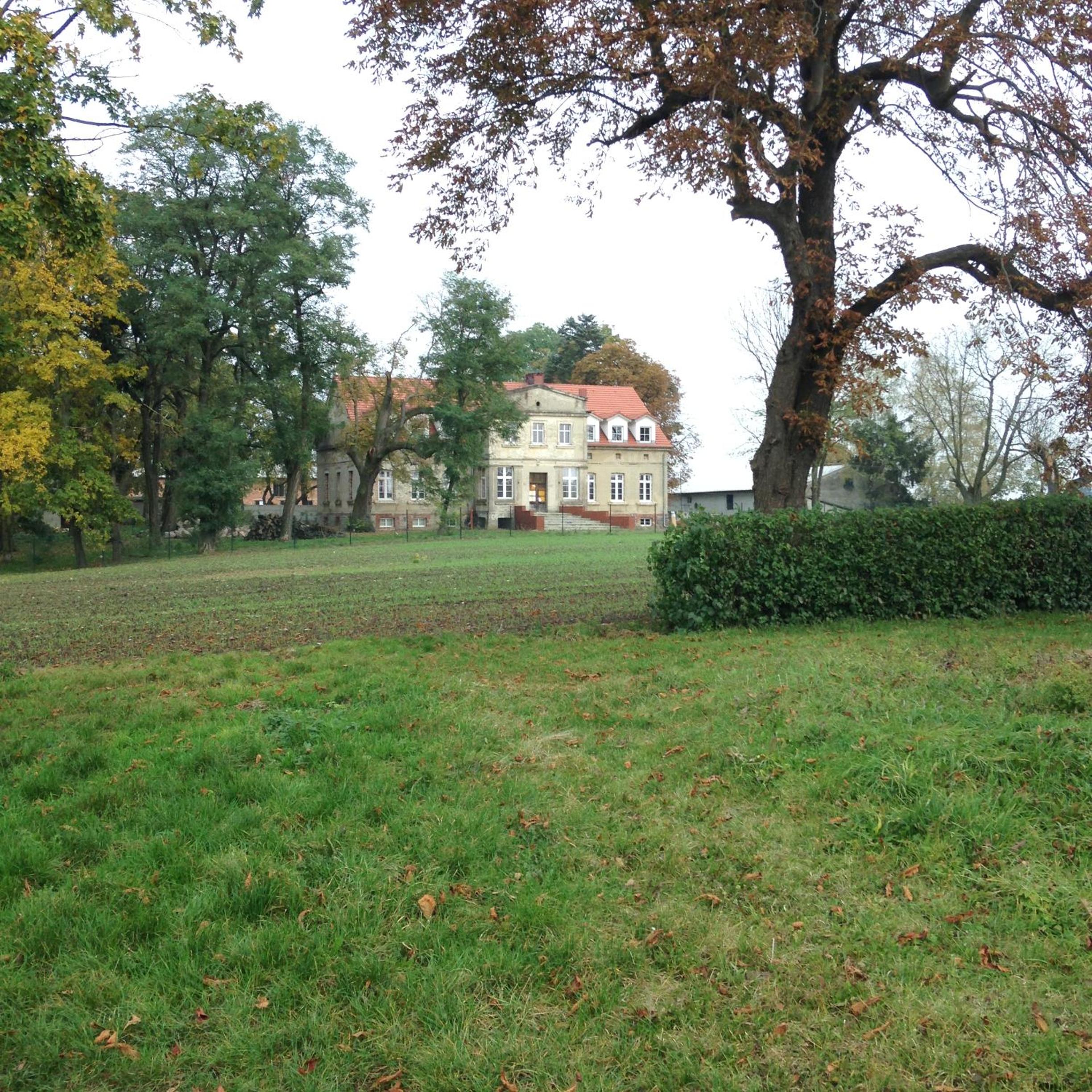 Photo 20