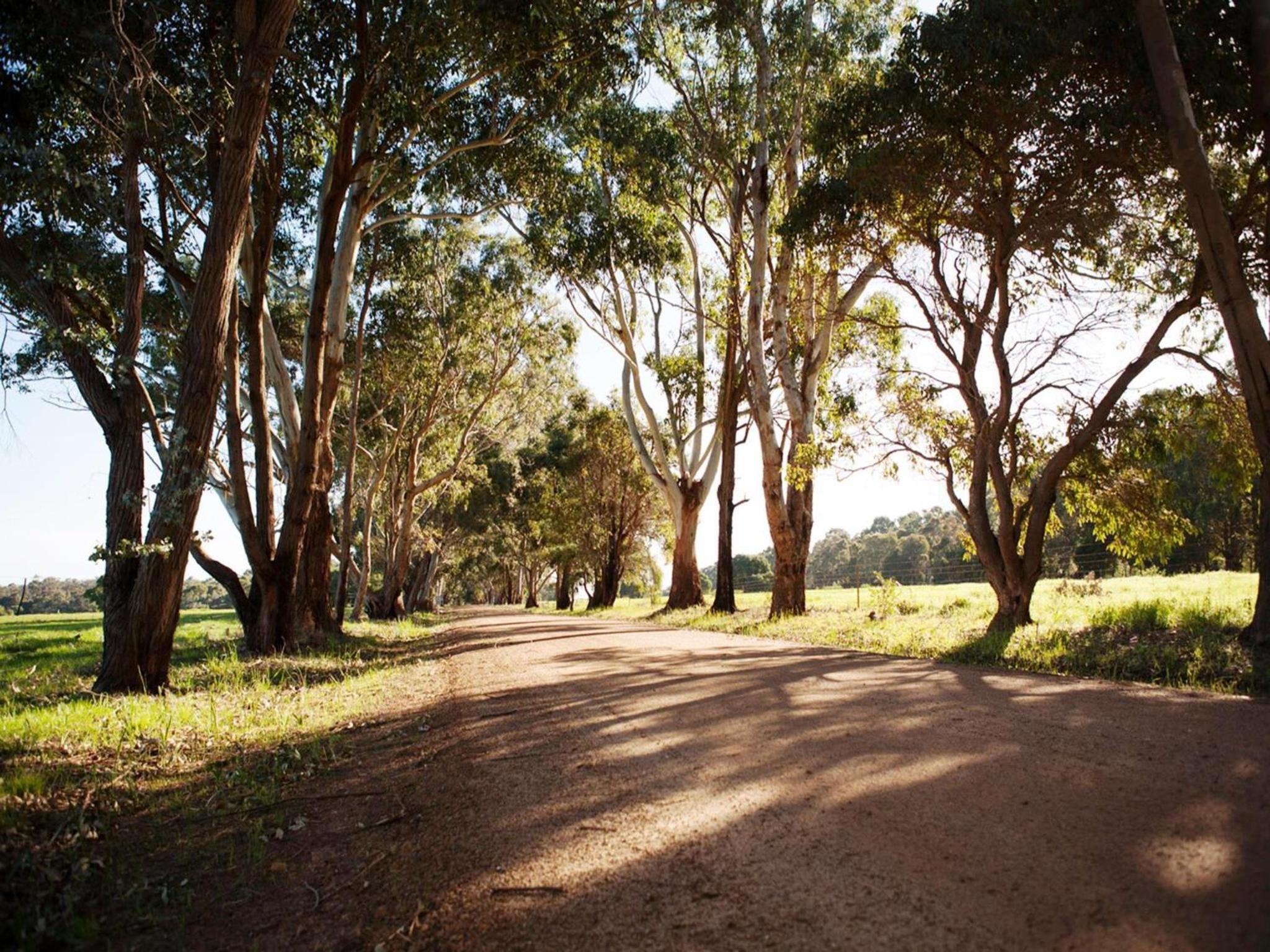 Bussells Bushland Cottages