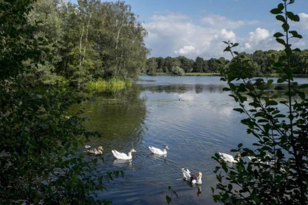 Right Garden Suite in Villa near Centre and TUe, photo 20