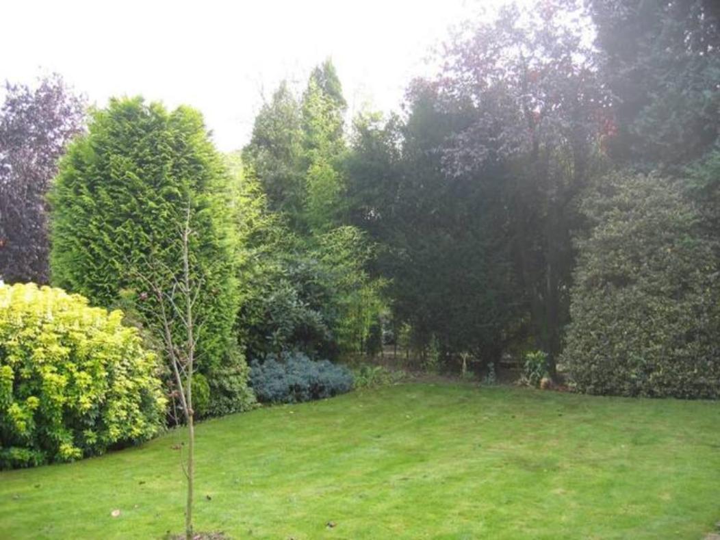 Right Garden Suite in Villa near Centre and TUe, photo 21