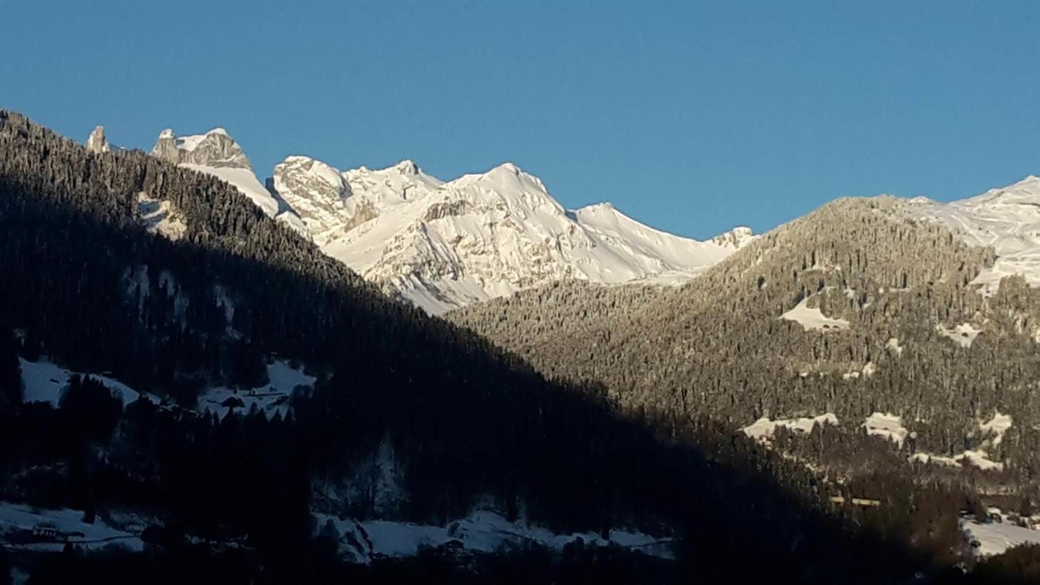 Tonis Appartement view 5