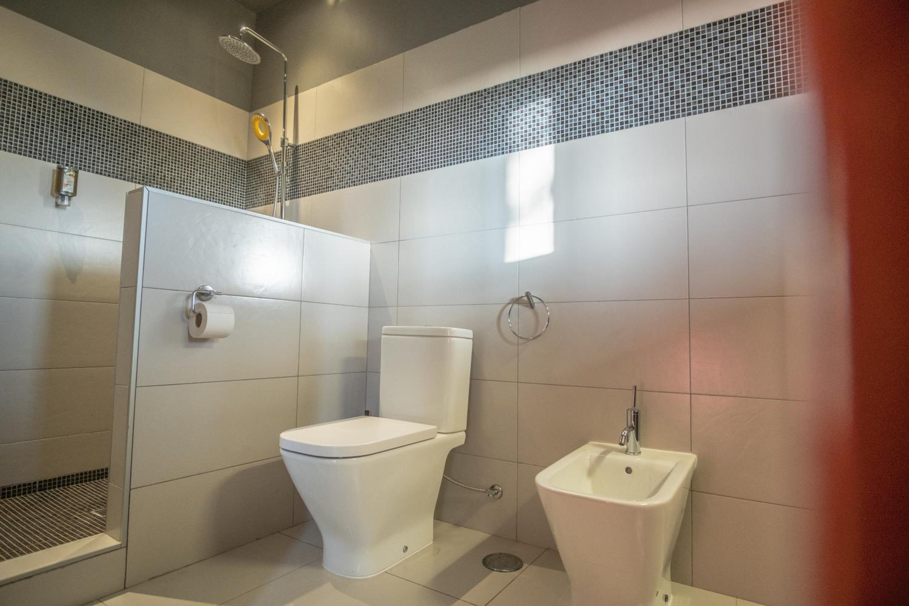 Gato Preto de Silves - Adults Only