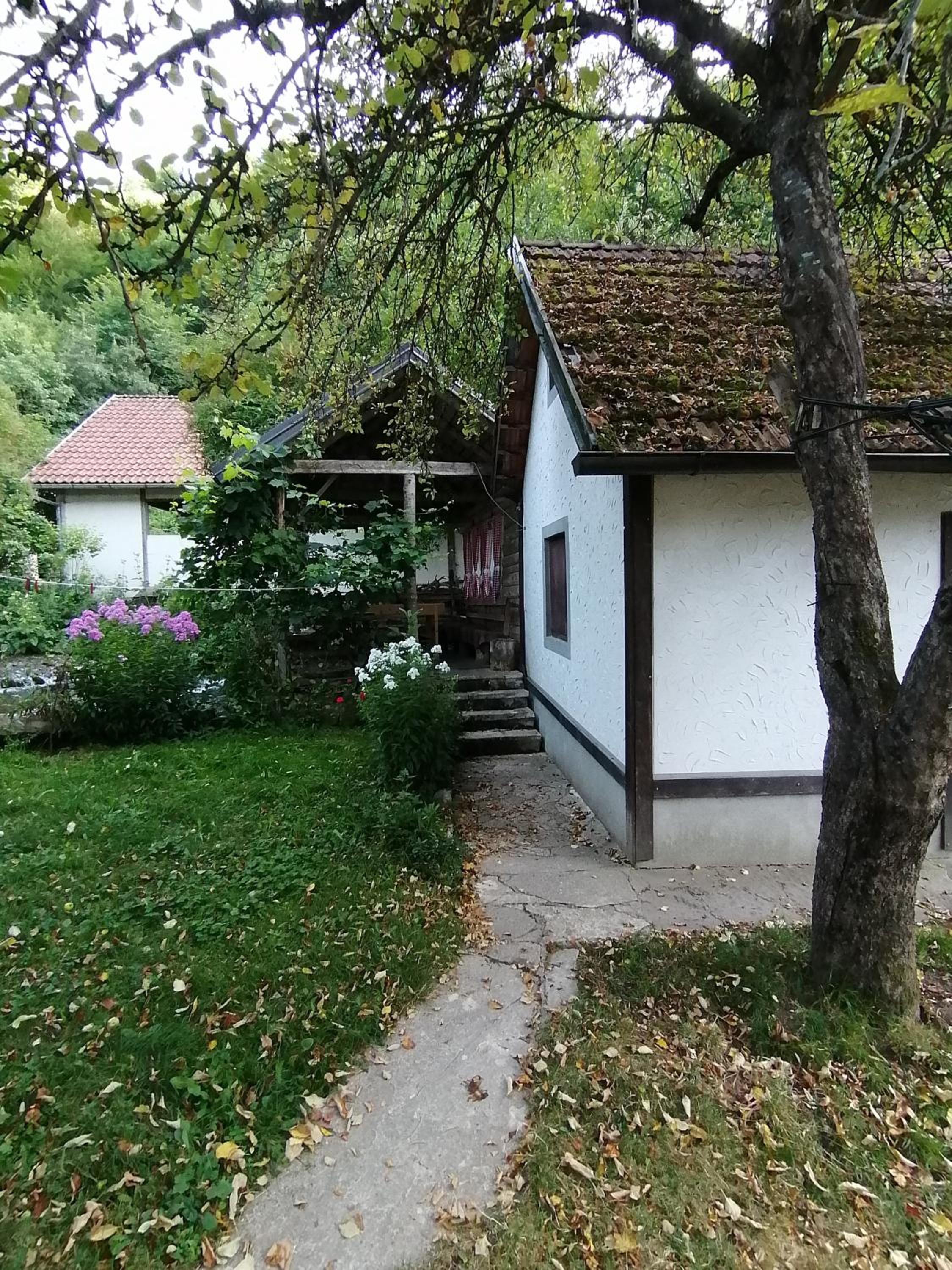 Photo 88