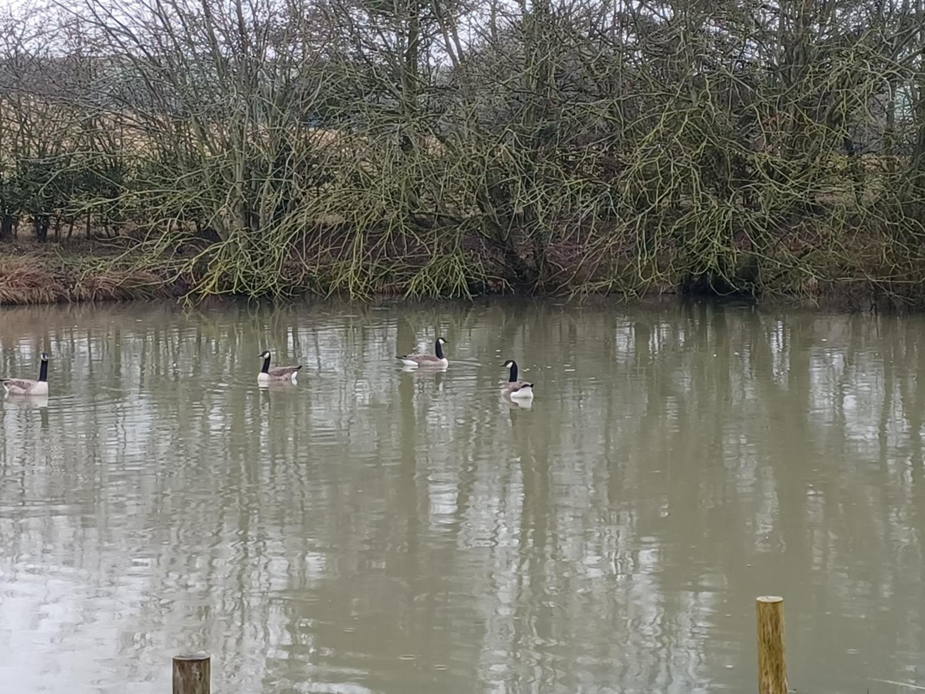 Stowe Fields