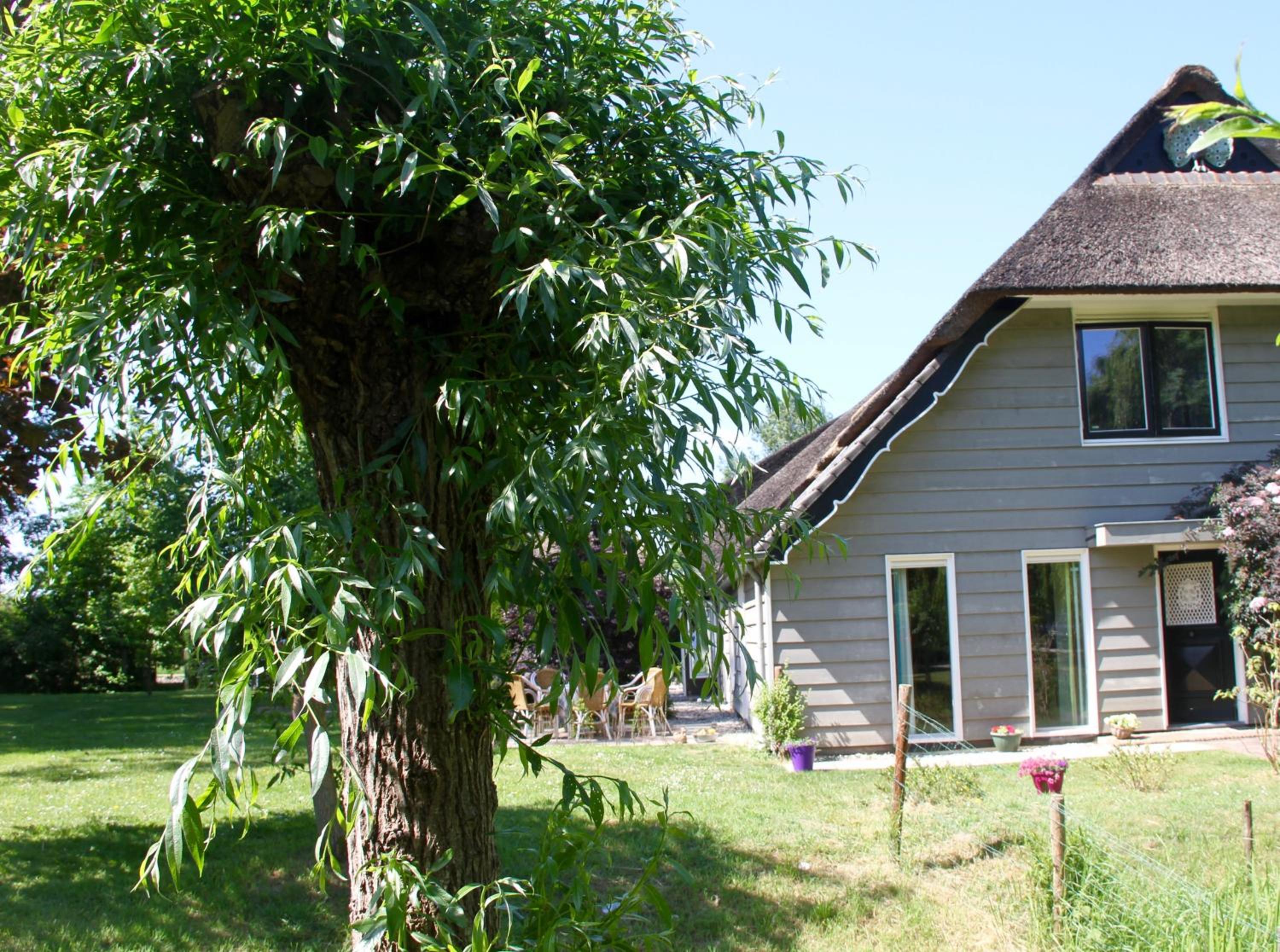 Photo 36