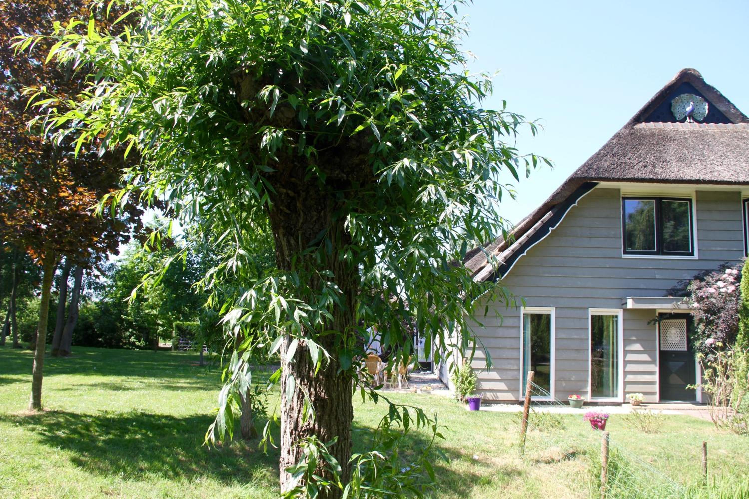 Photo 33