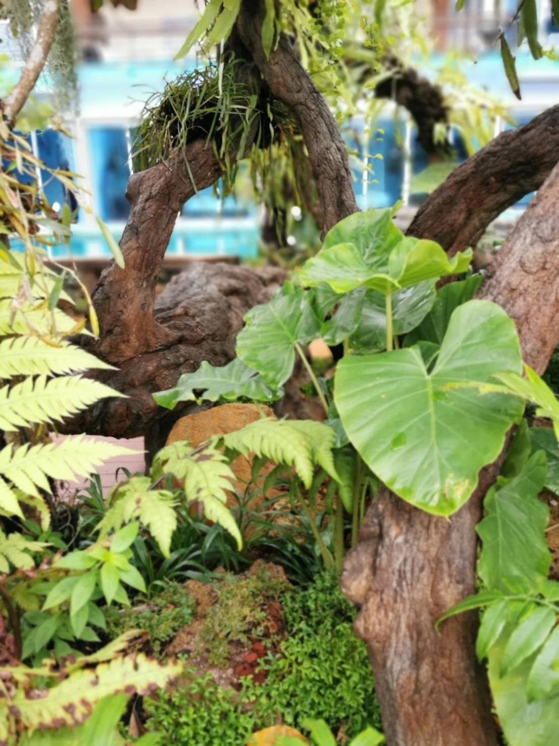 Uthaithani Resort, photo 68