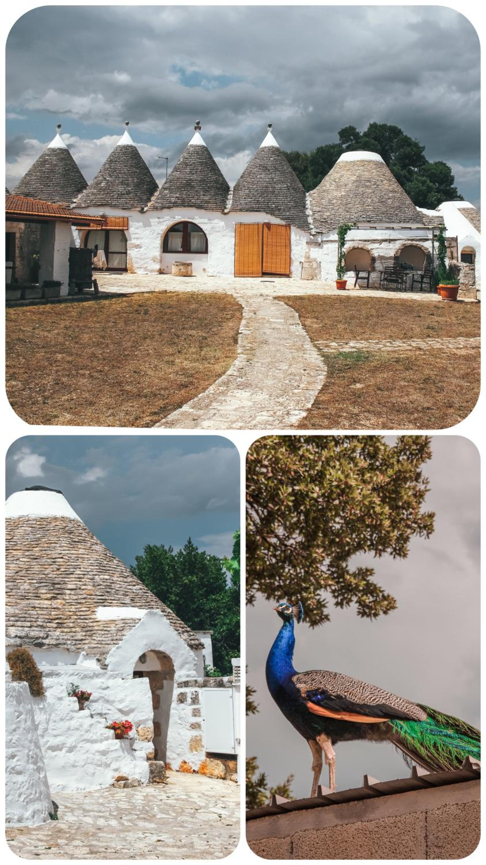 Masseria Ferri