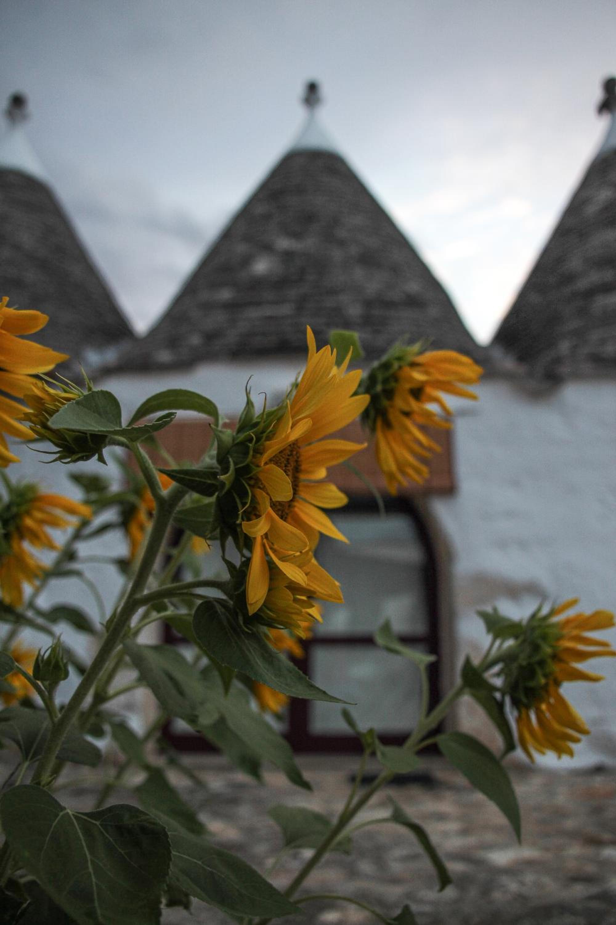 Masseria Ferri