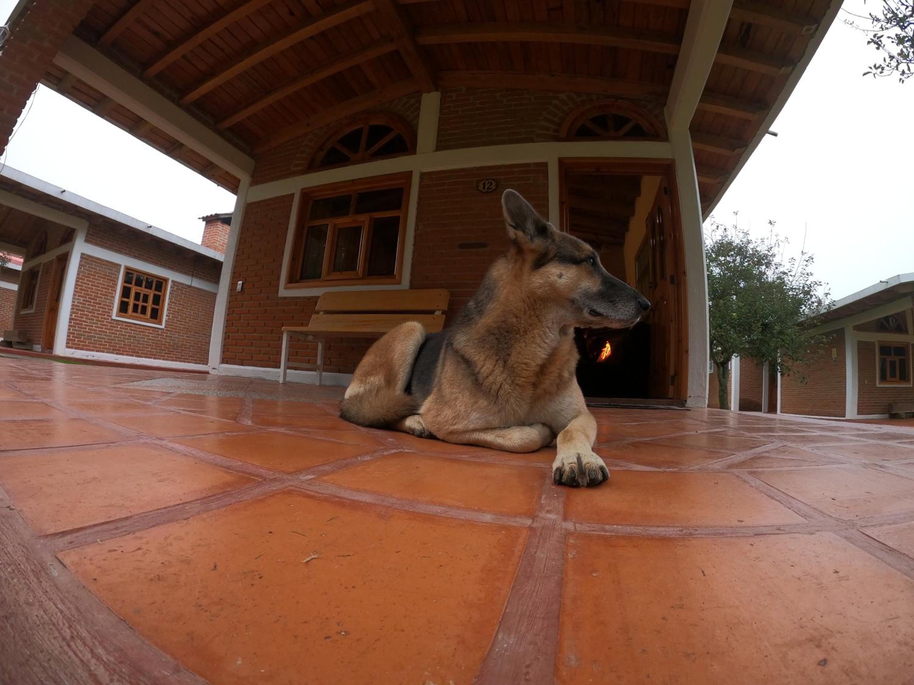 Cabañas Rancho El Mayab