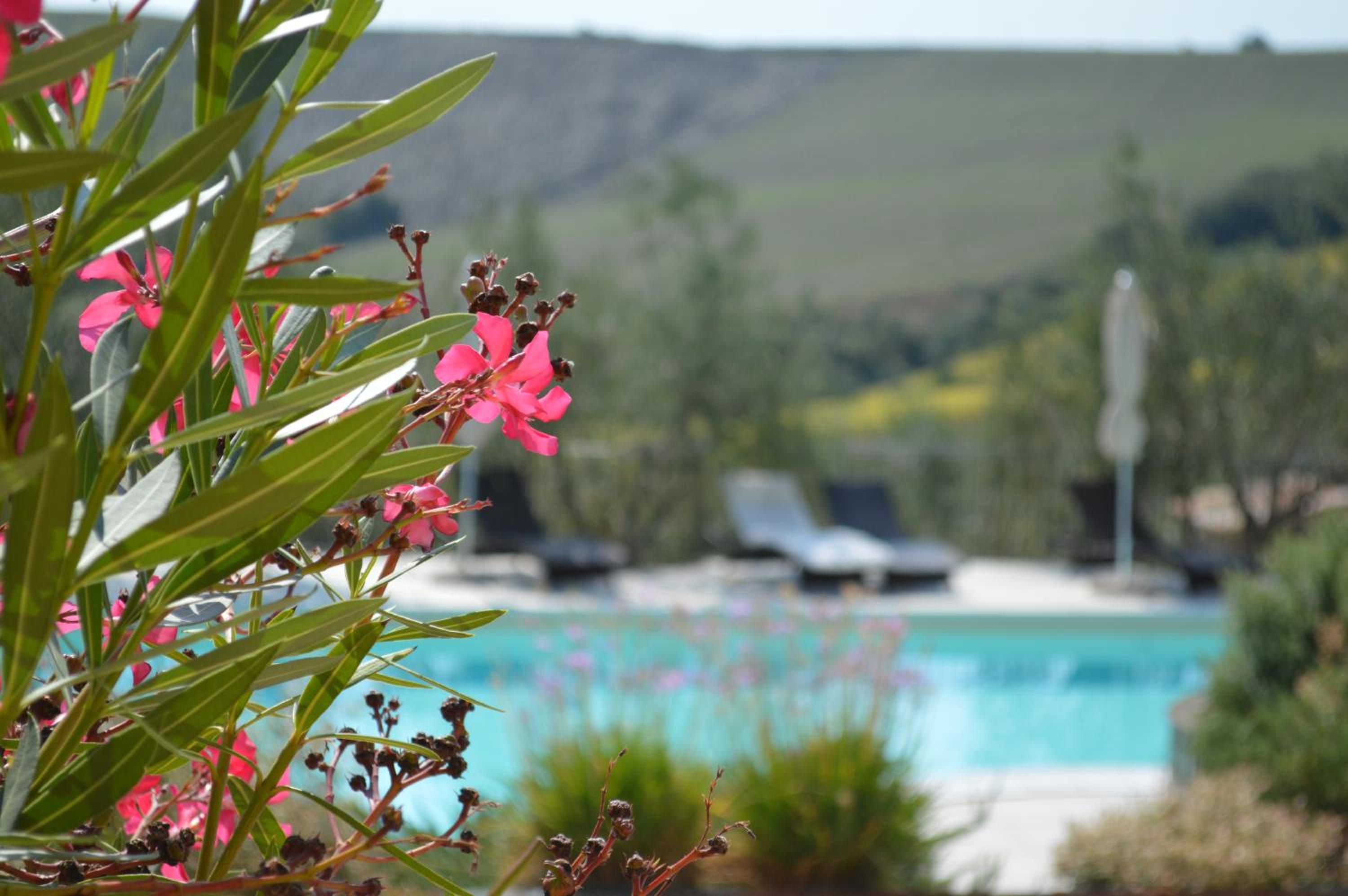 Agriturismo Tenuta Belvedere