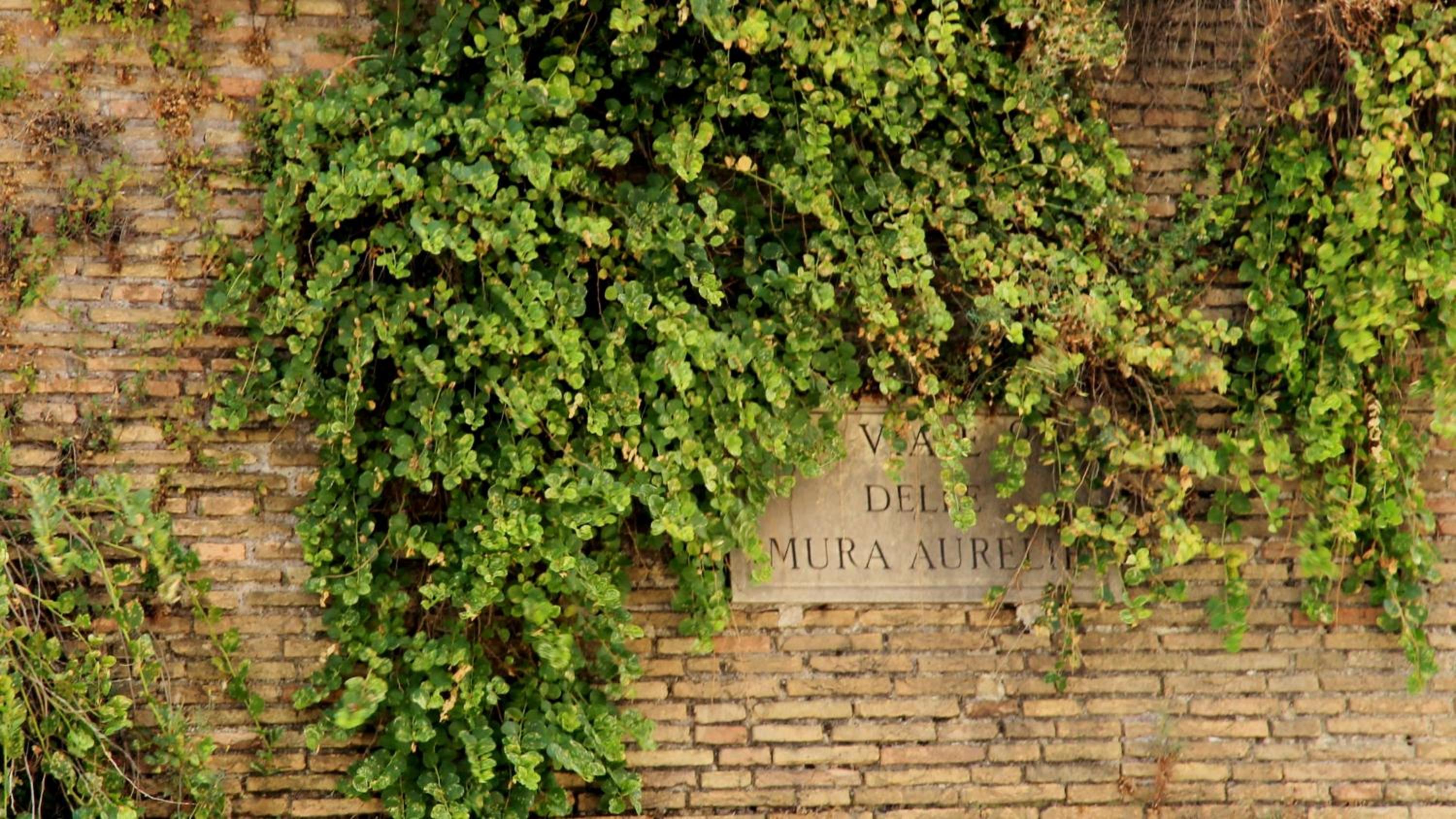 Vista San Pietro