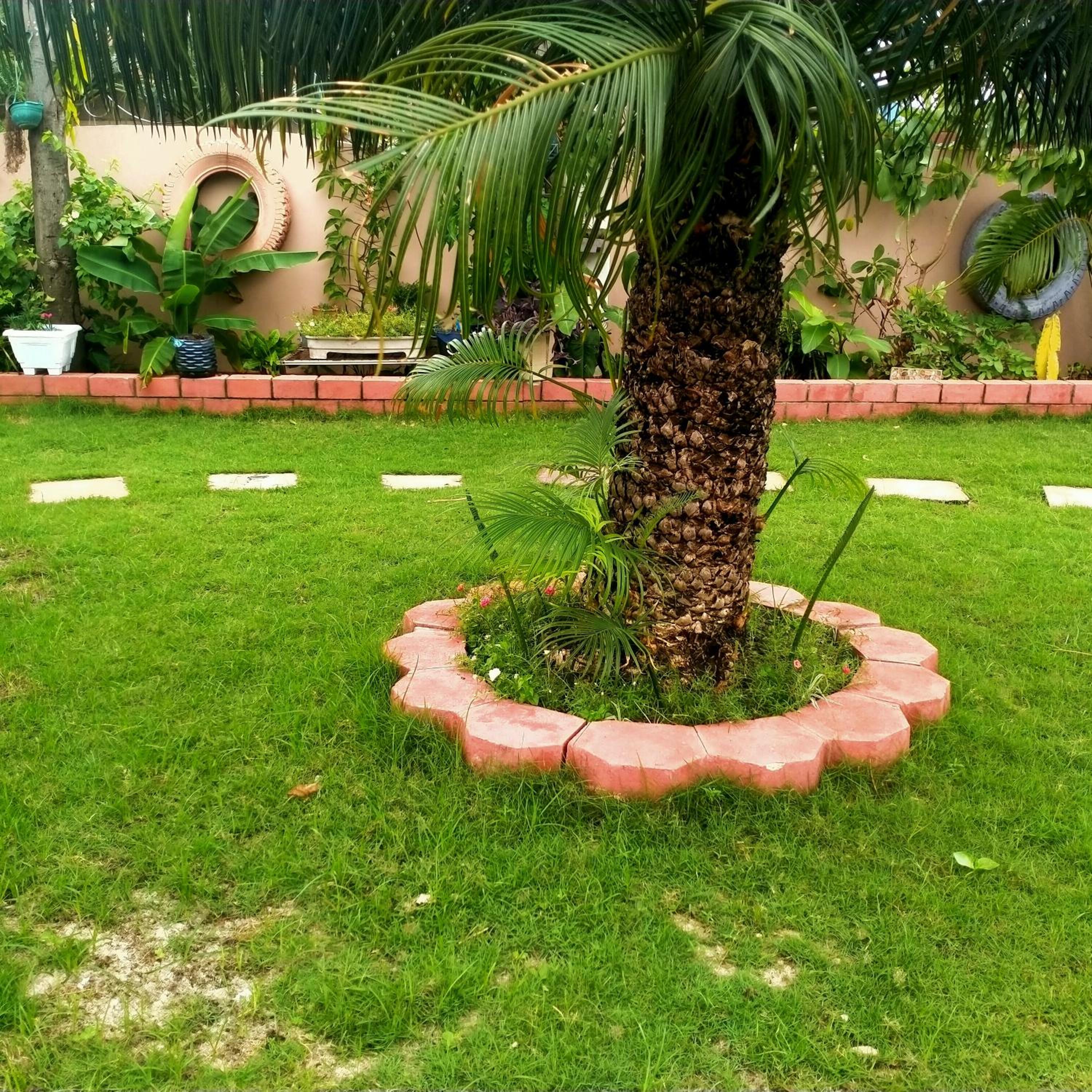 BabaJay Family Home view 5