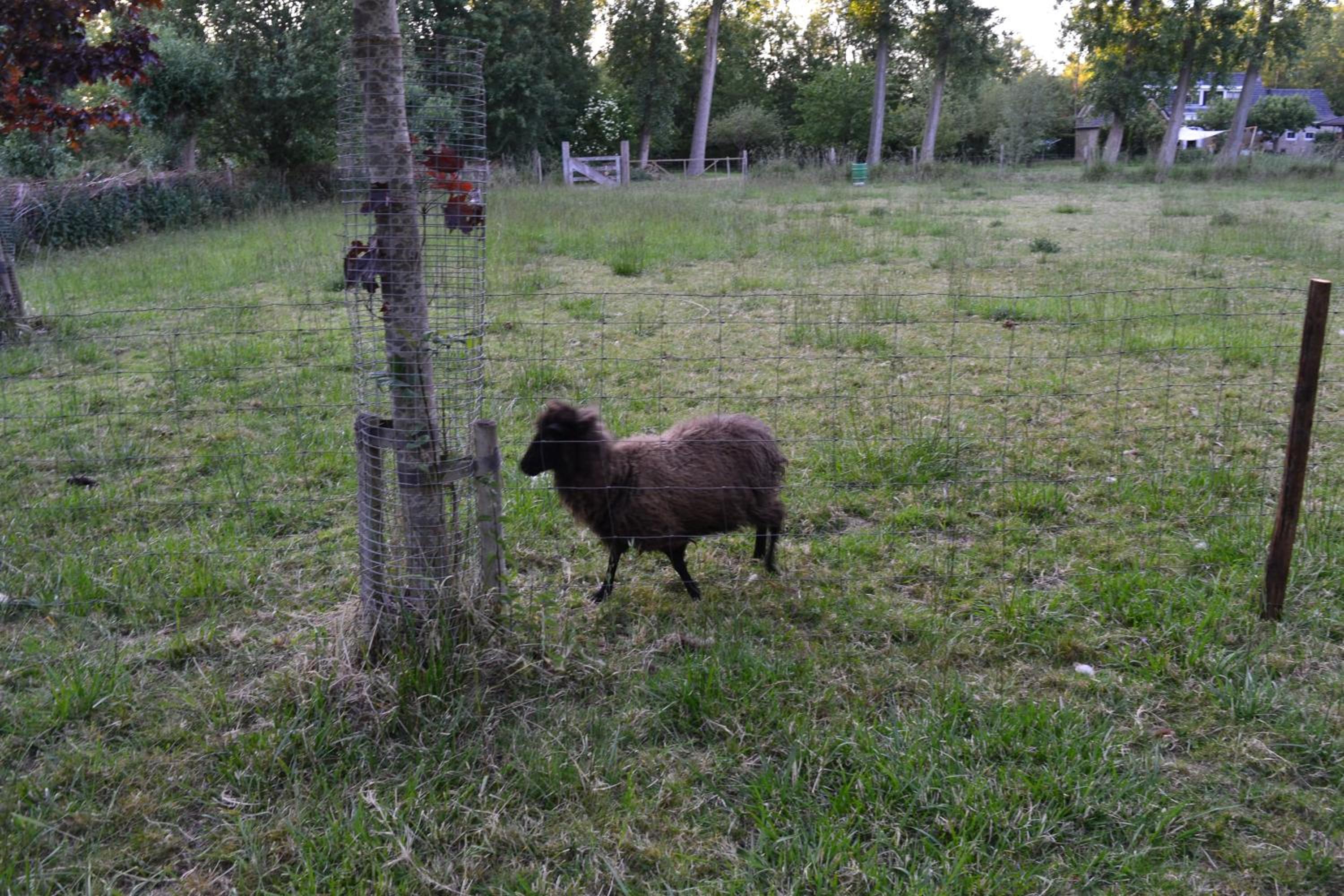 Photo 48