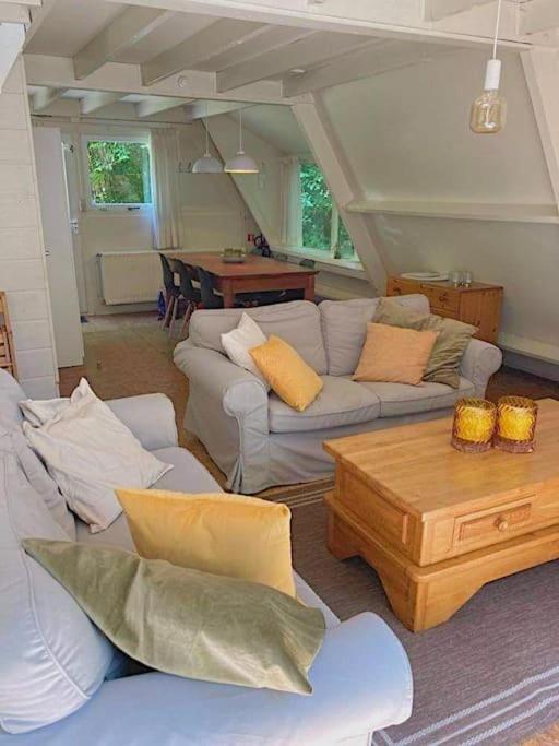 La cabane, Durbuy view 5