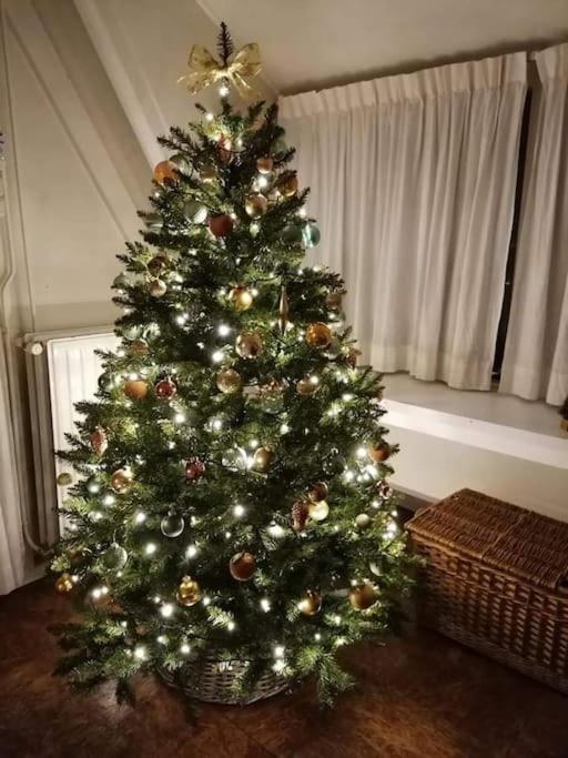 Photo 23