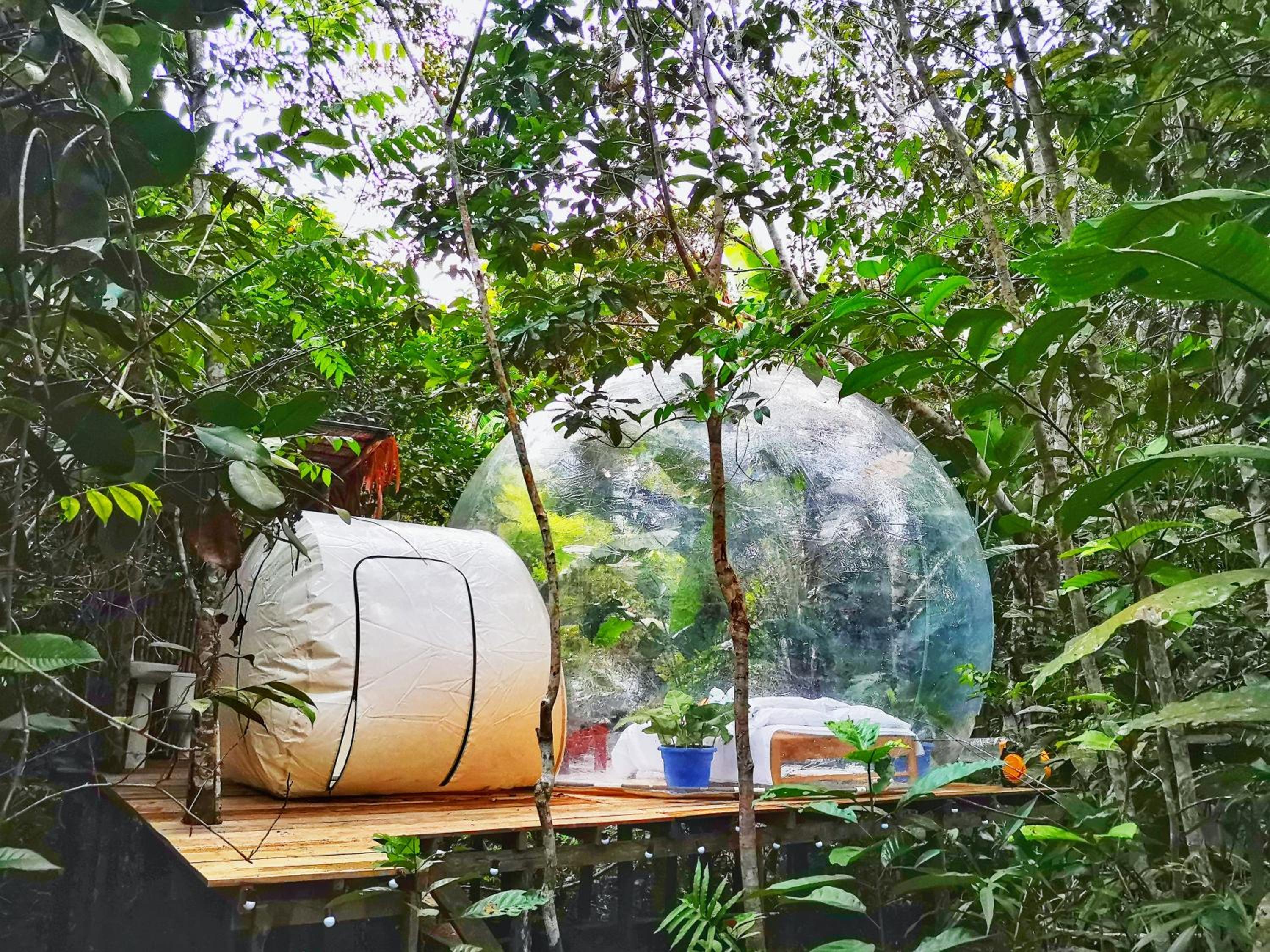 Glamping Amazonas view 4