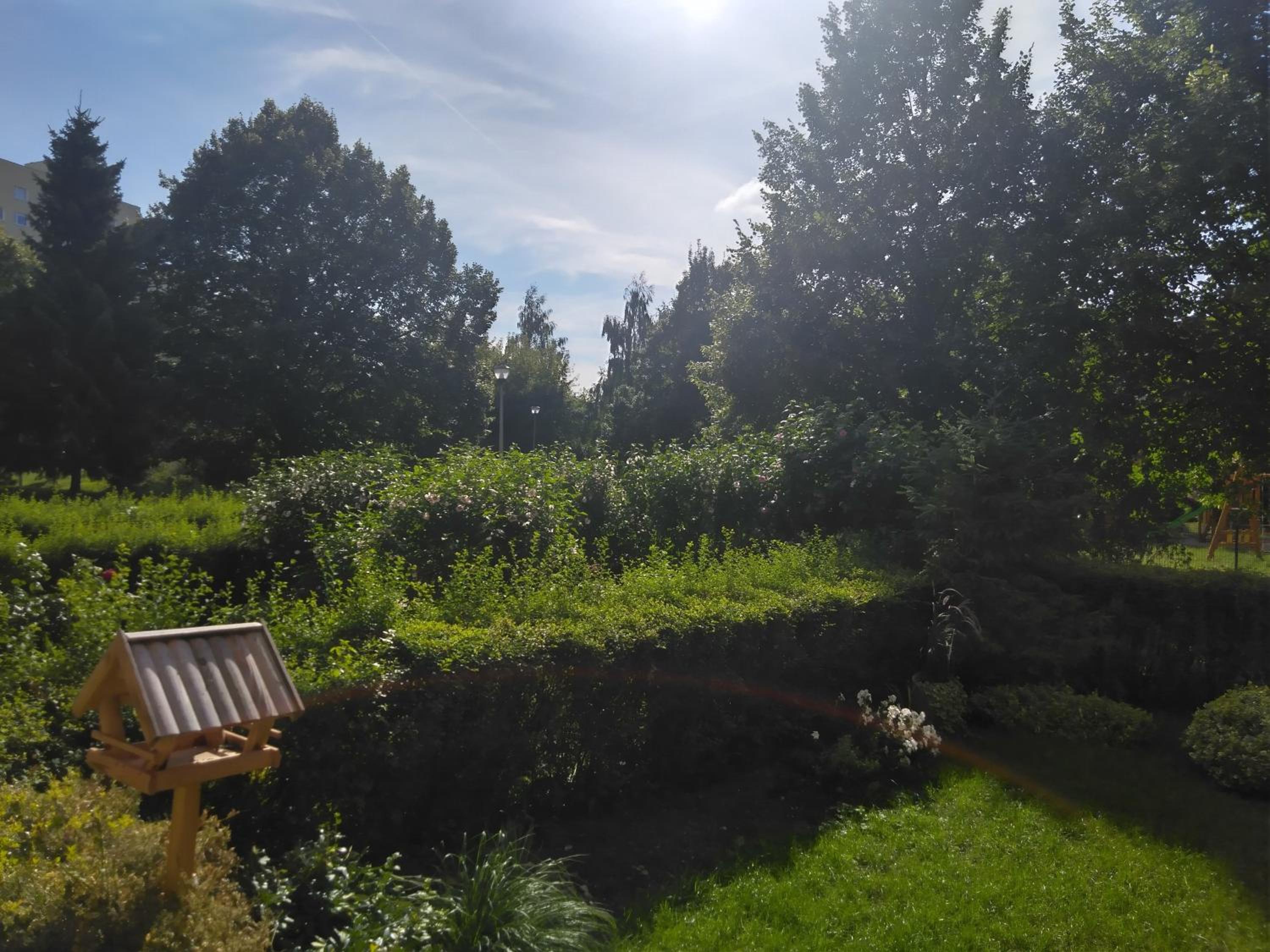 Photo 21