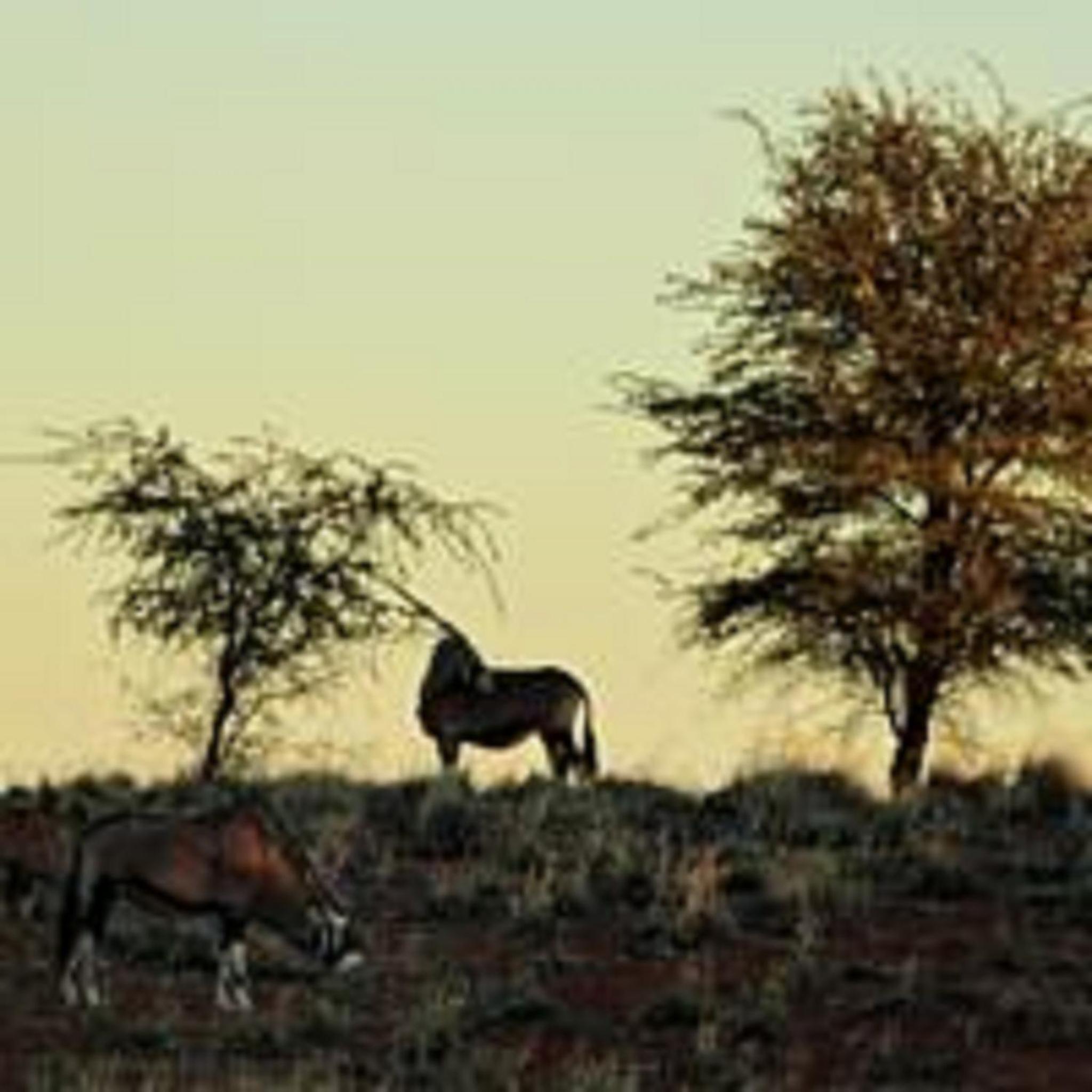 Gondwana Kalahari Farmhouse