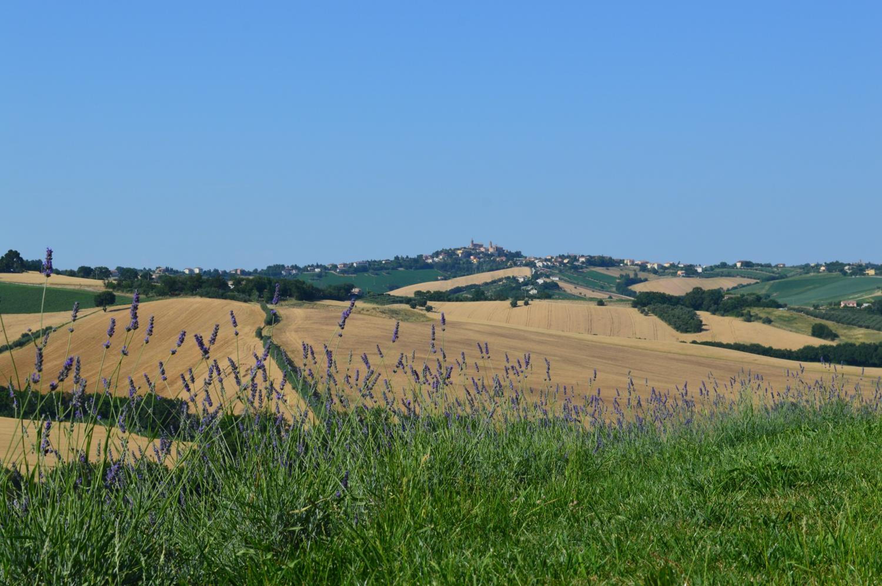 Agriturismo Tenuta Belvedere
