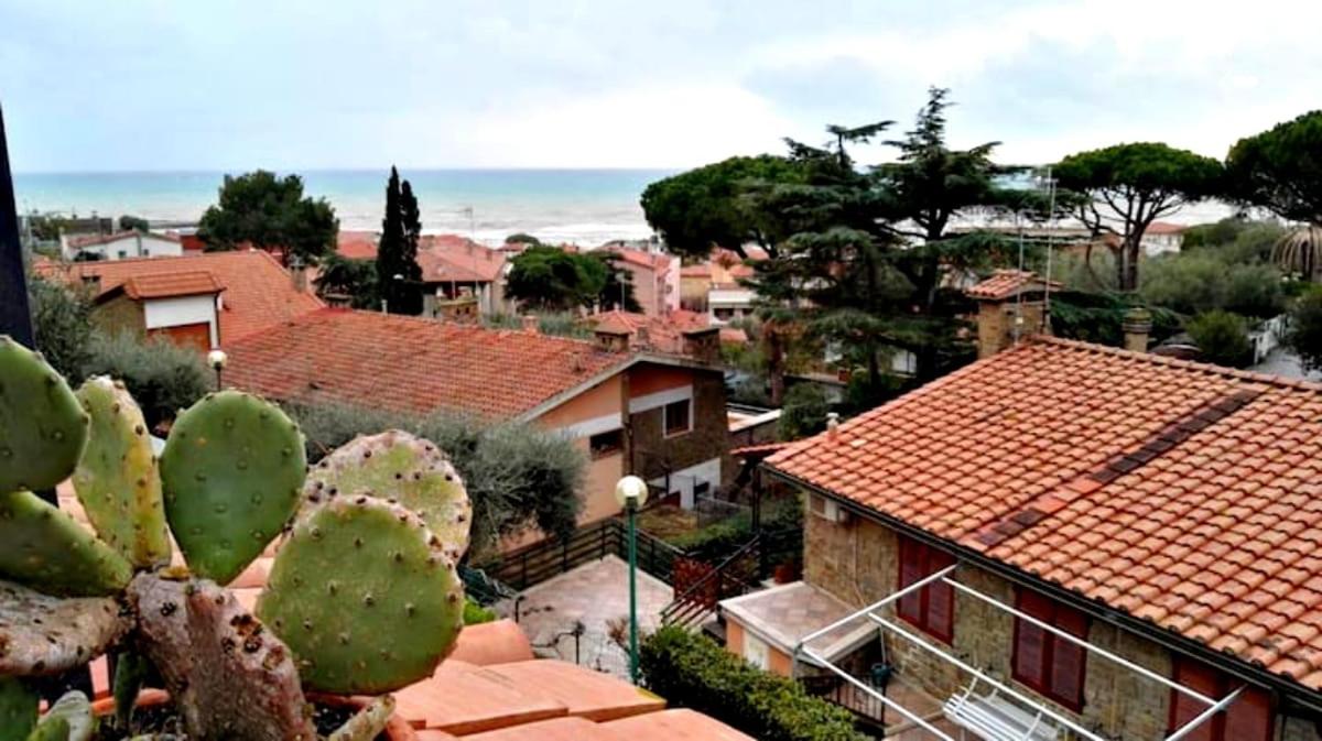 Belvedere apartment