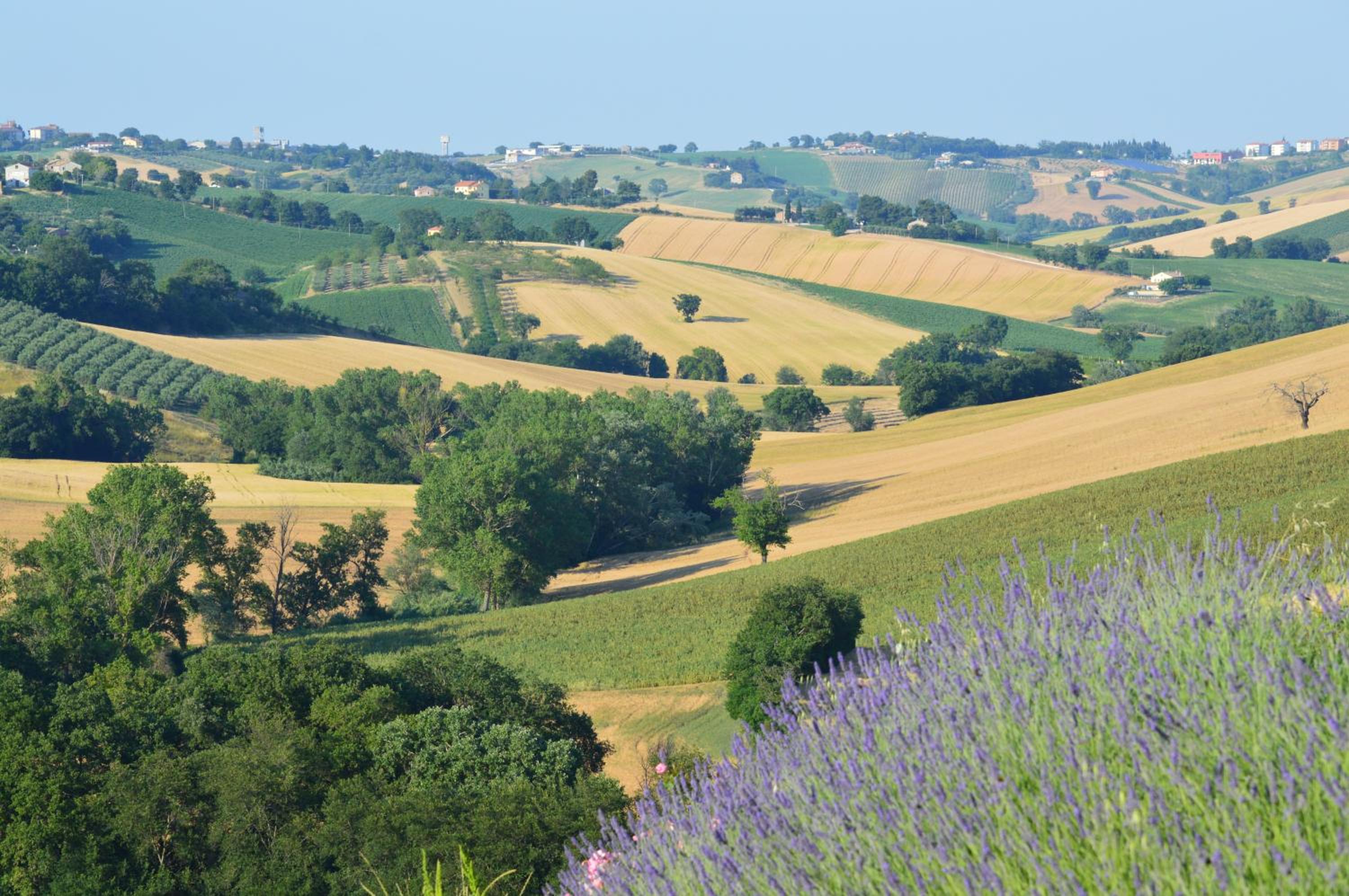 Agriturismo Tenuta Belvedere