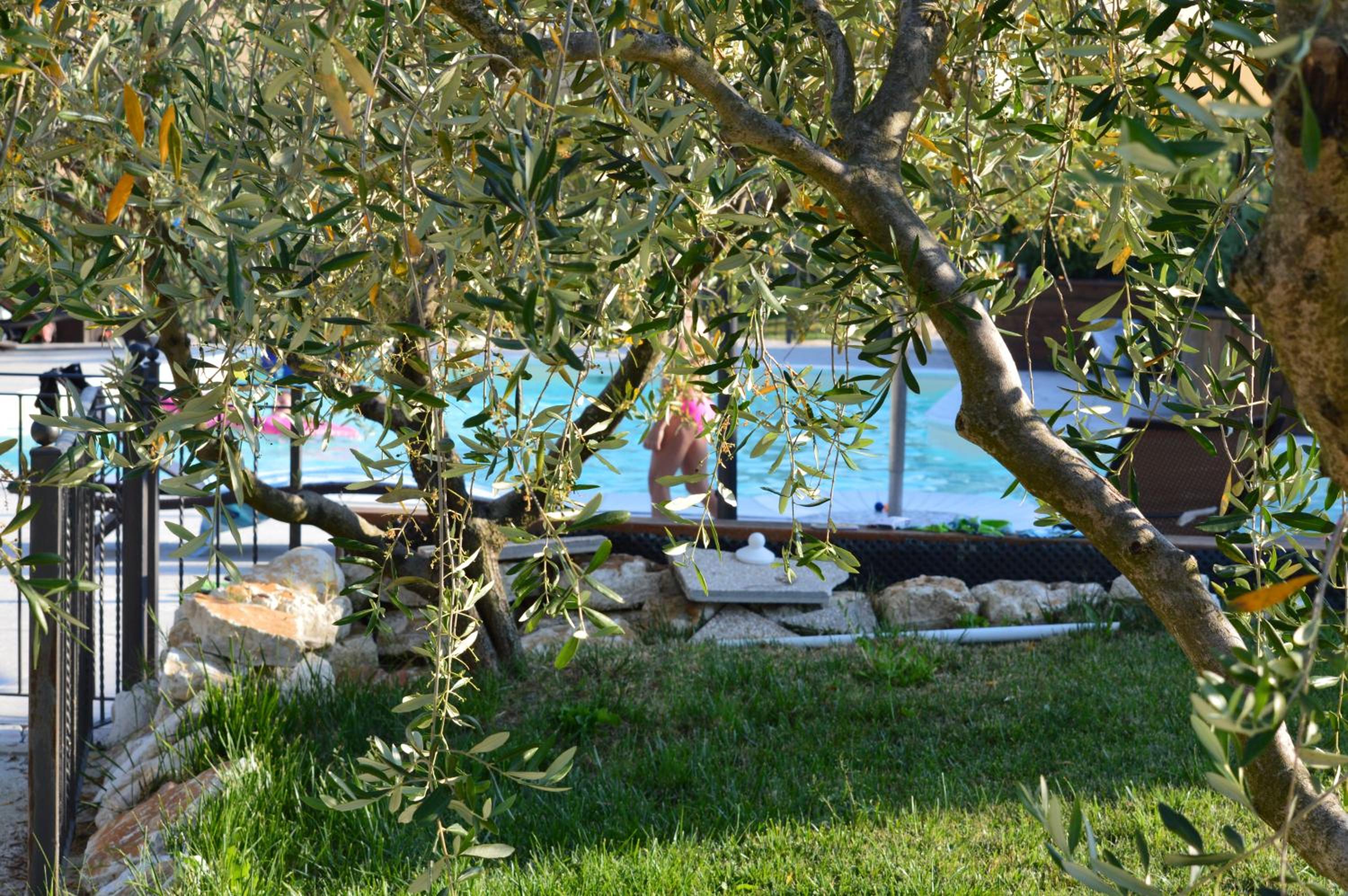 Agriturismo Tenuta Belvedere