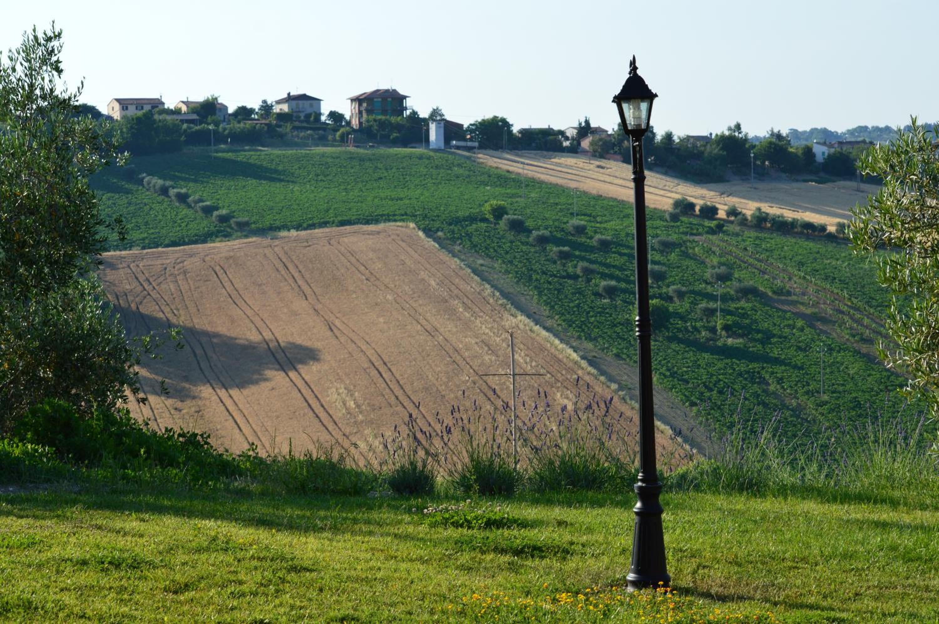 Agriturismo Tenuta Belvedere