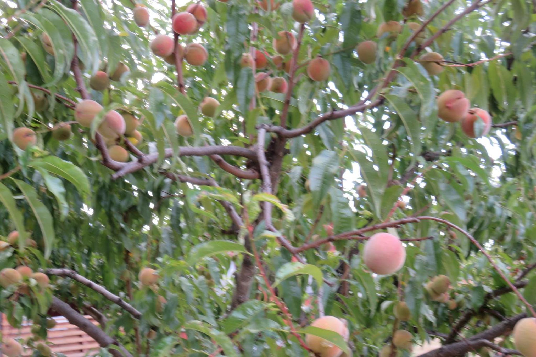 Photo 49