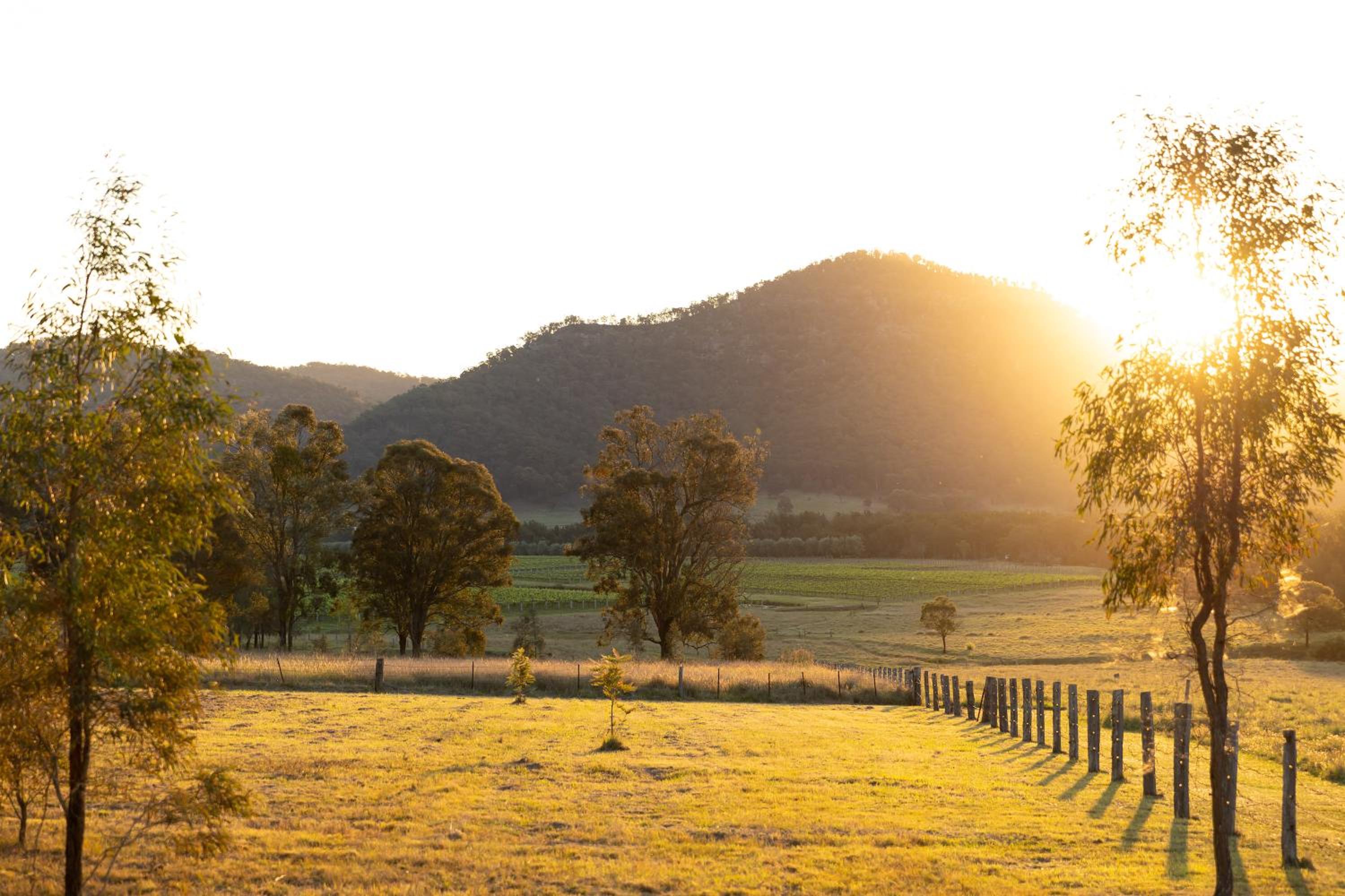 Little Corner Farm