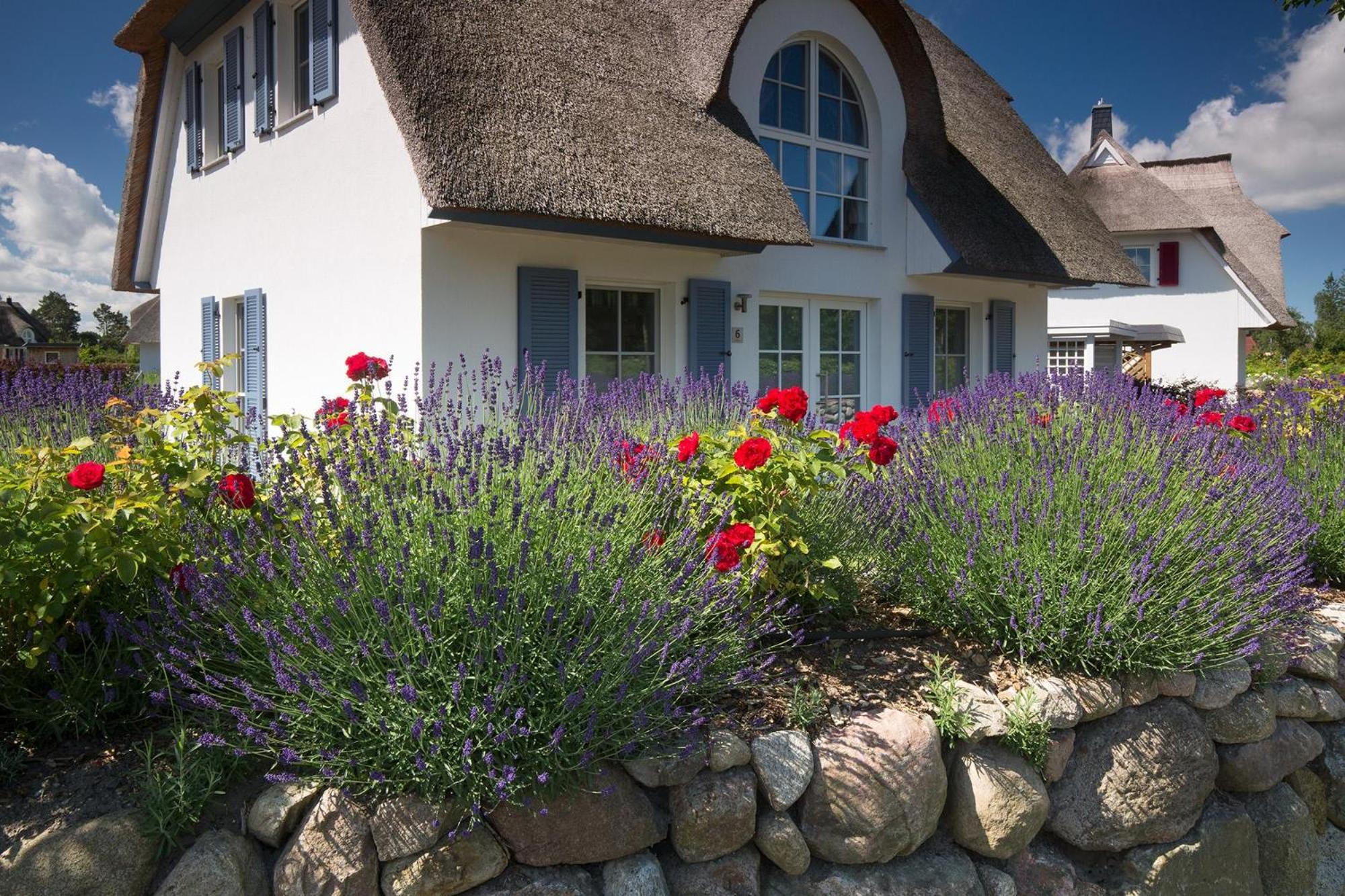 Ferienhaus Schilfrohrsaenger 28
