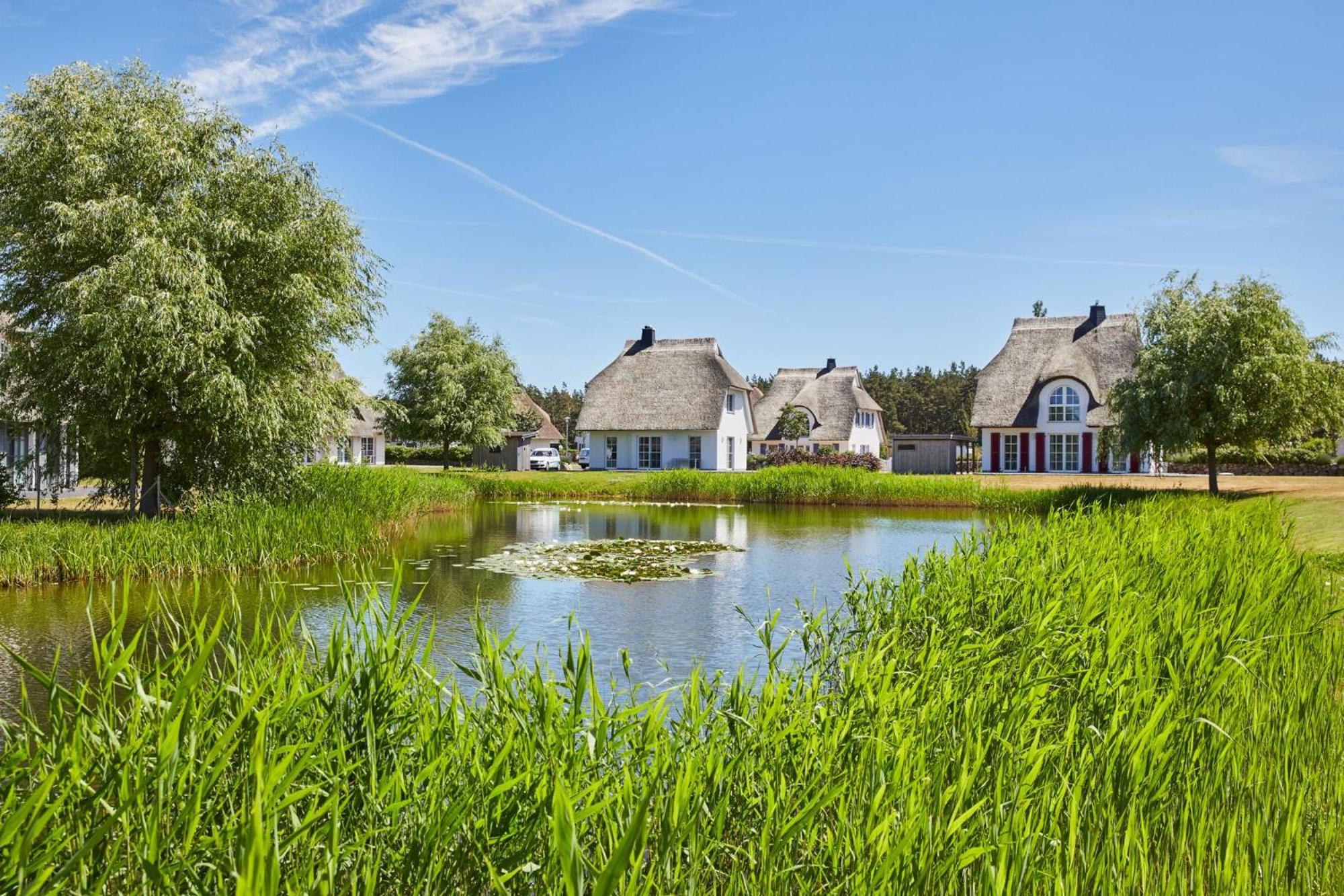 Ferienhaus Seeschwalbe 60