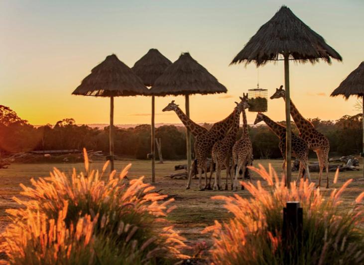 Western Plains Tourist Park - Dubbo