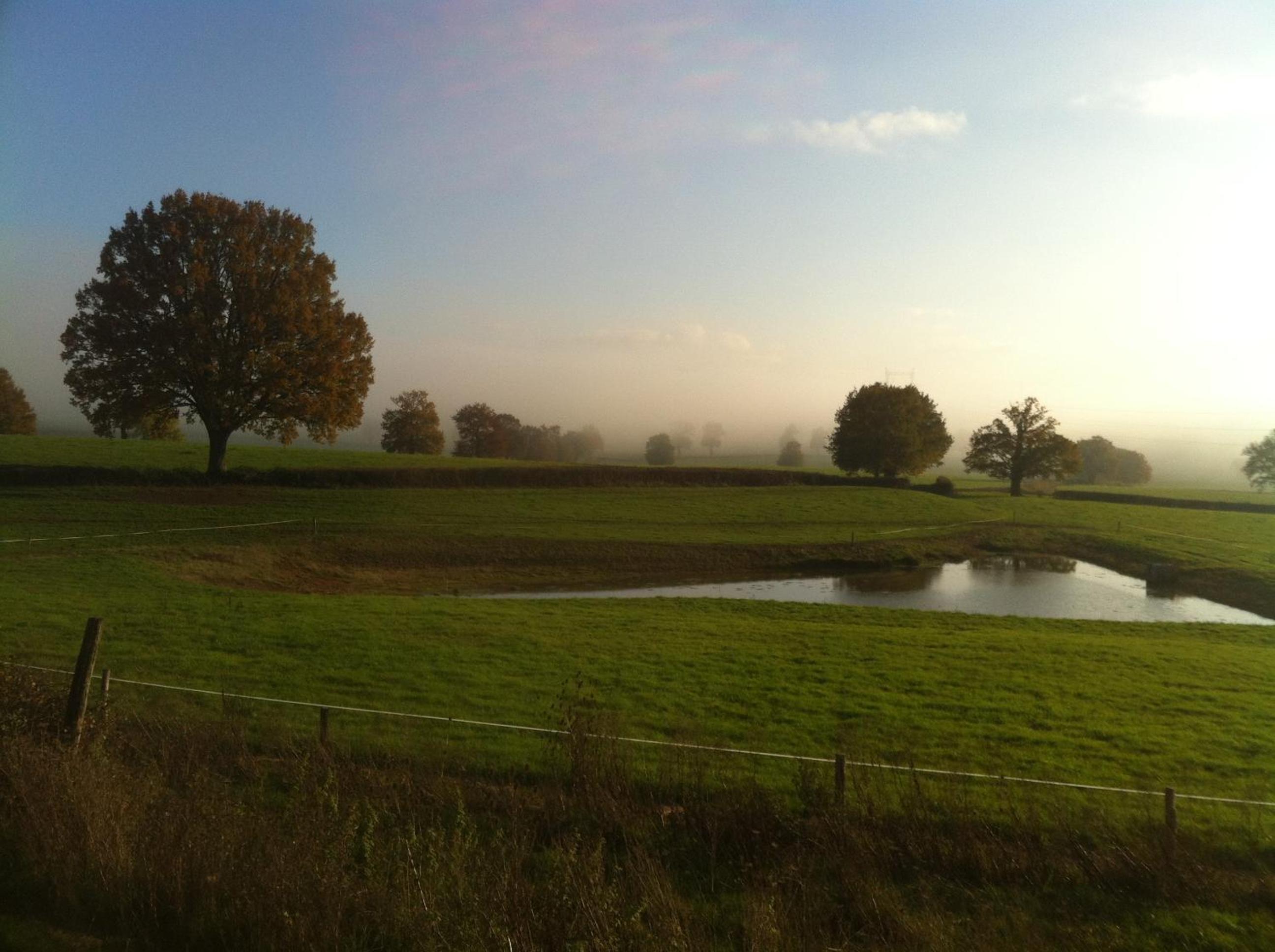 Photo 44
