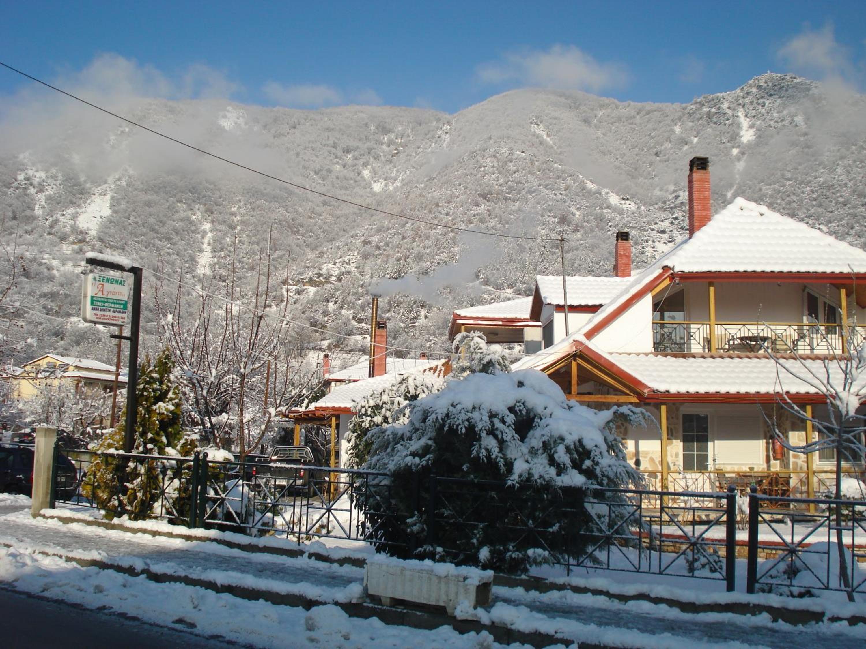 Photo 11
