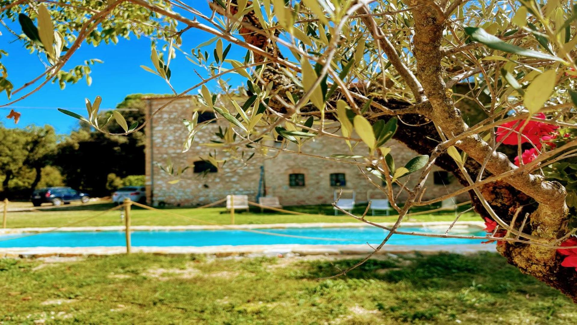 Exclusive Pool-open All Year-spoleto Biofarm-slps 8-village shops, bar1 km 6 view 4