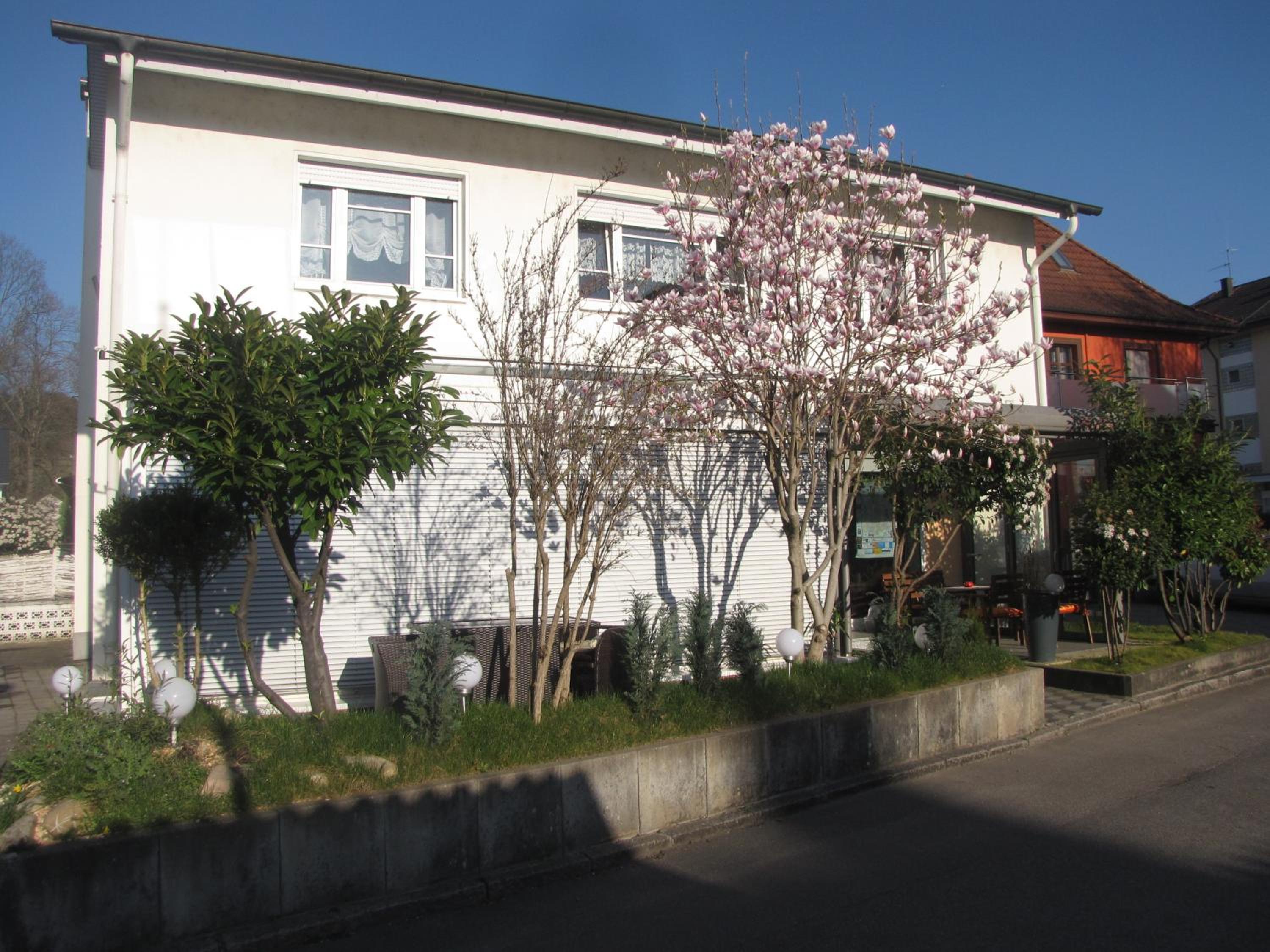 Photo 22