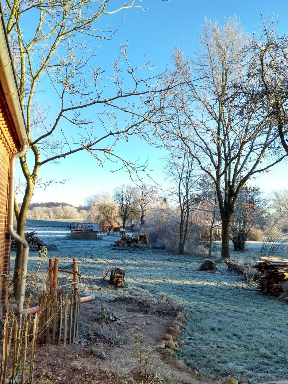 Krötenhof Barförde