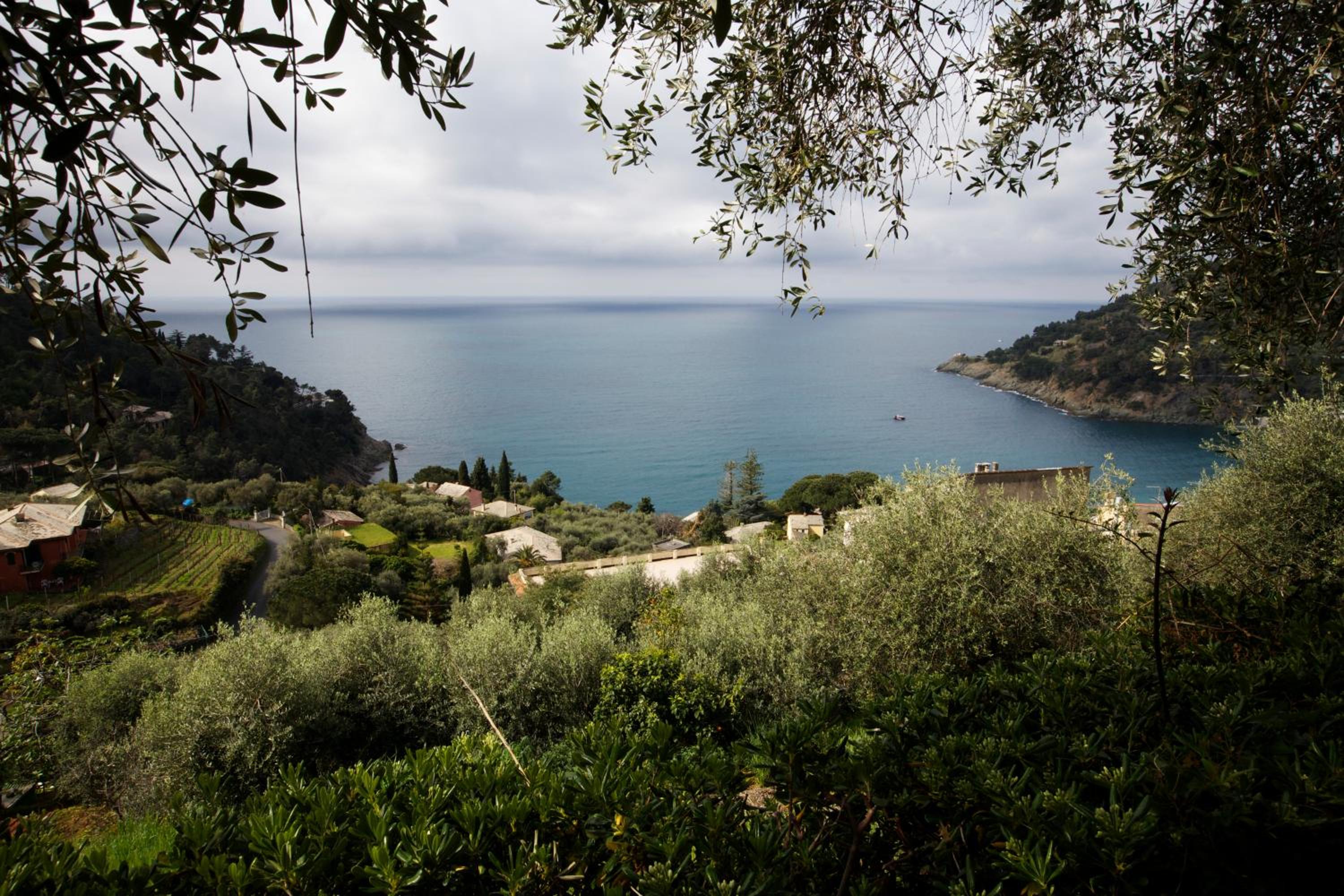 Casa Orchidea - Vista Mare meravigliosa view 2
