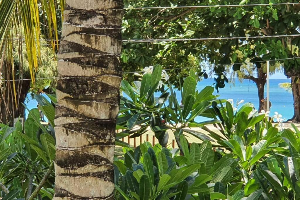Porte du Bonheur - Freshly renovated 2 bedrooms flat - 50m from beach view 5