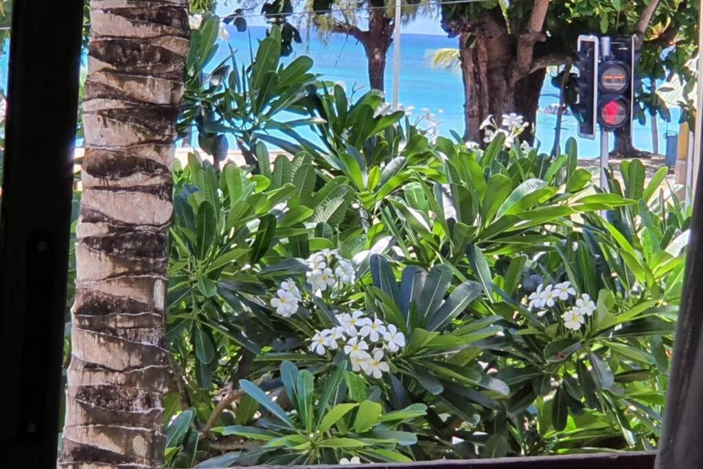 Porte du Bonheur - Freshly renovated 2 bedrooms flat - 50m from beach view 3