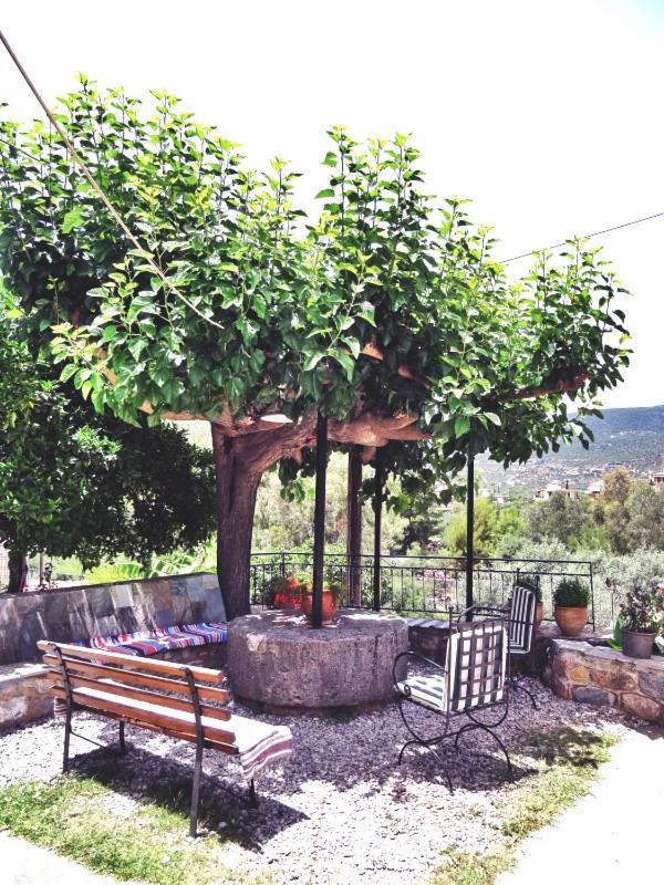 KASTRO AGGELIKI
