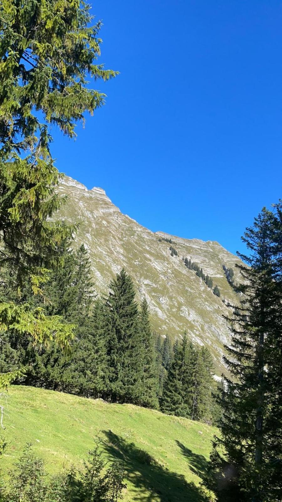 Landhaus Eibelesee