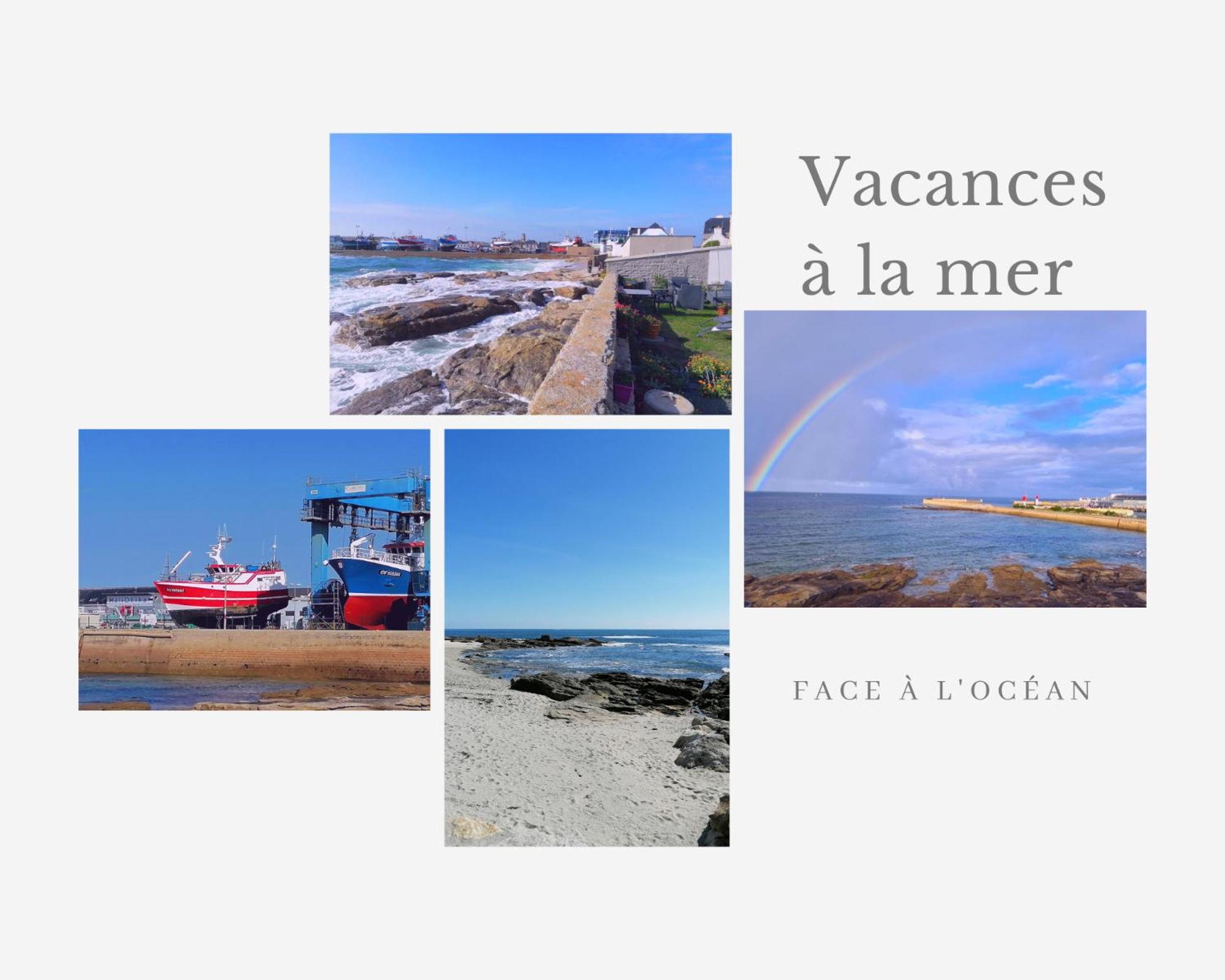 La Rose des Mers view 2