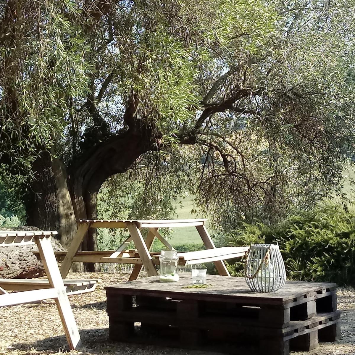 Agriturismo Il Gelso Antico