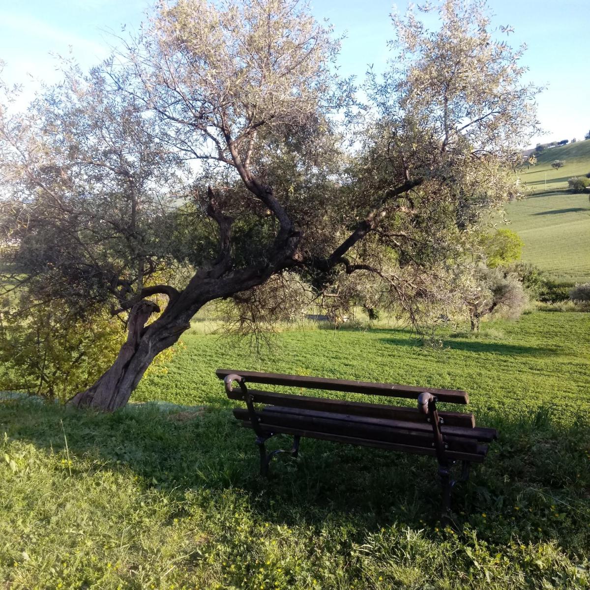 Agriturismo Il Gelso Antico