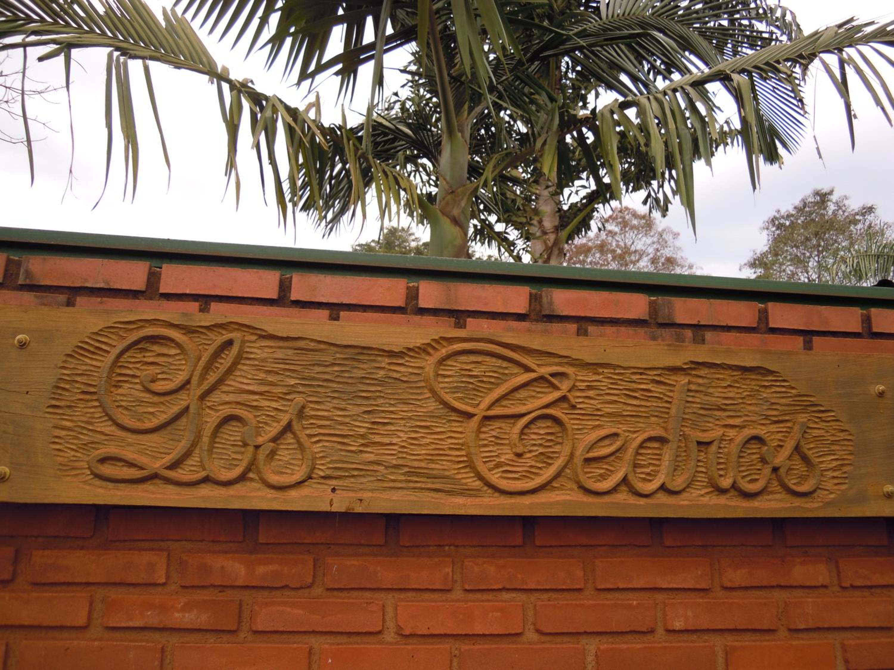 Cedros