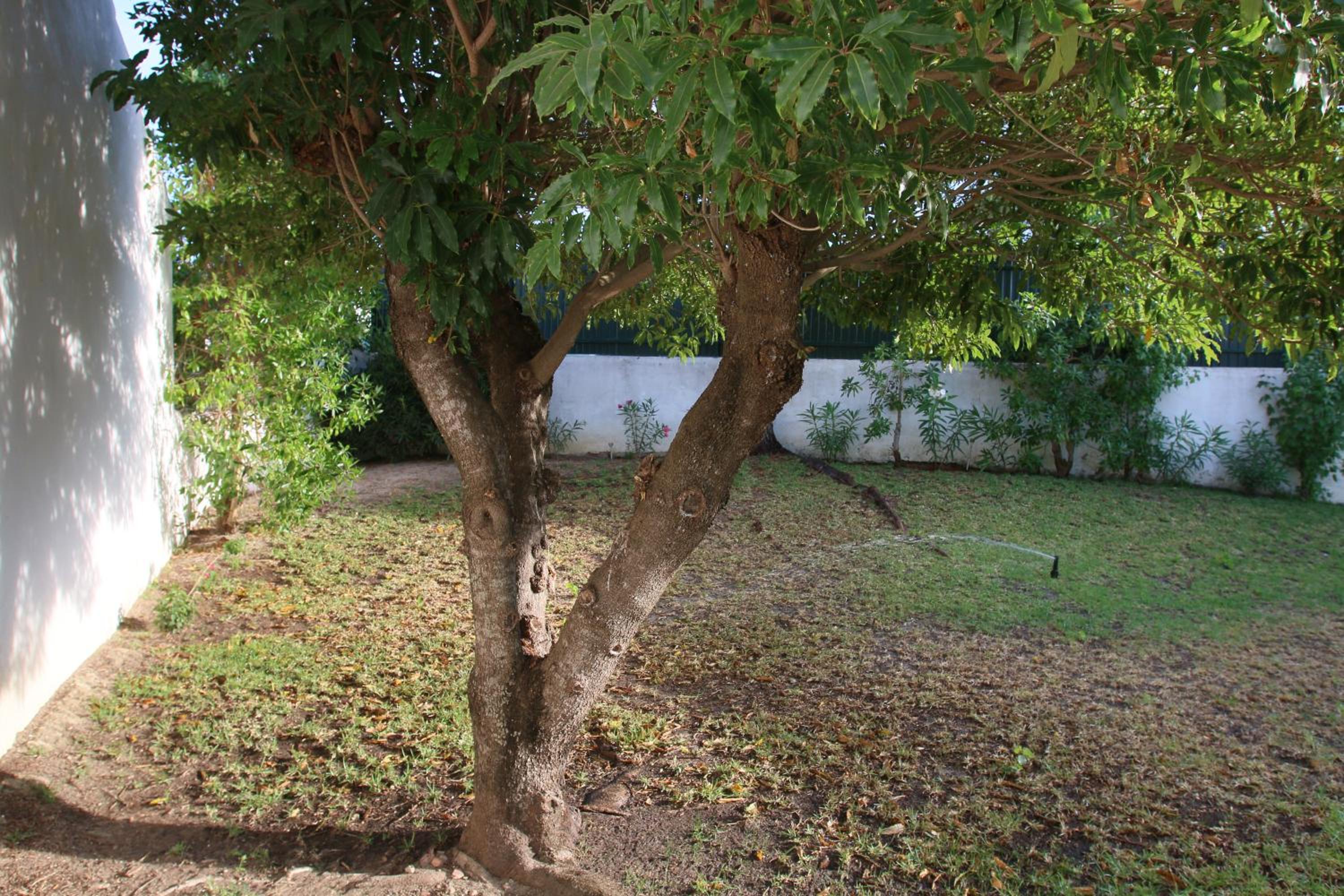 Photo 56
