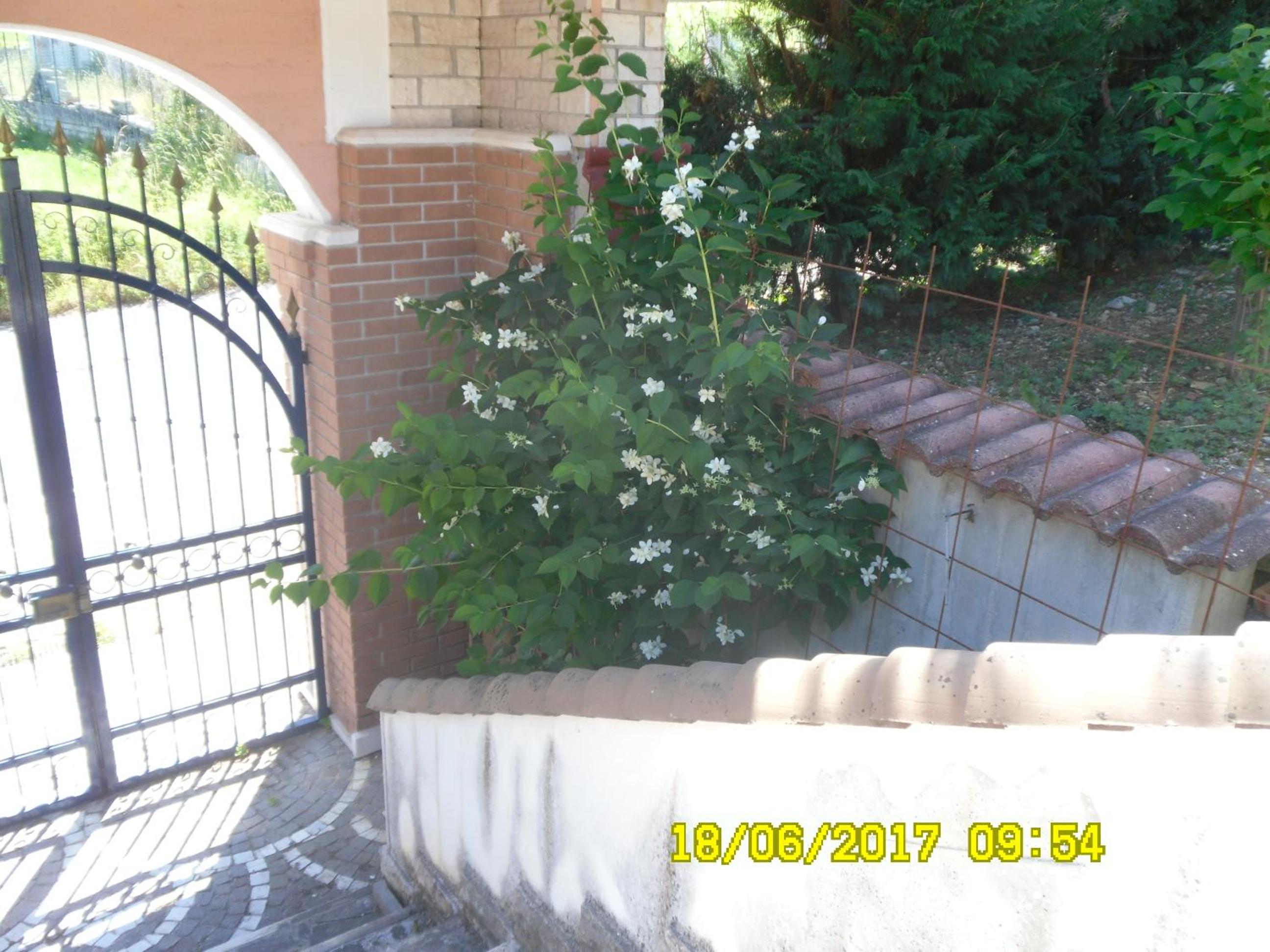 Photo 63
